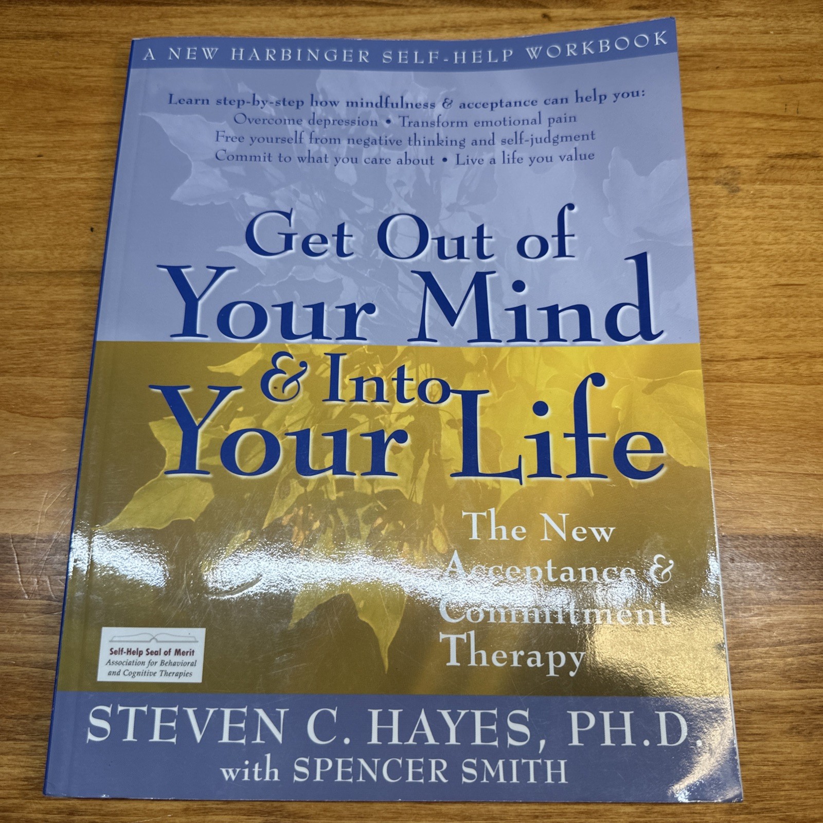 Get Out of Your Mind & into Your Life: Acceptance Commitment Therapy Hayes Clean