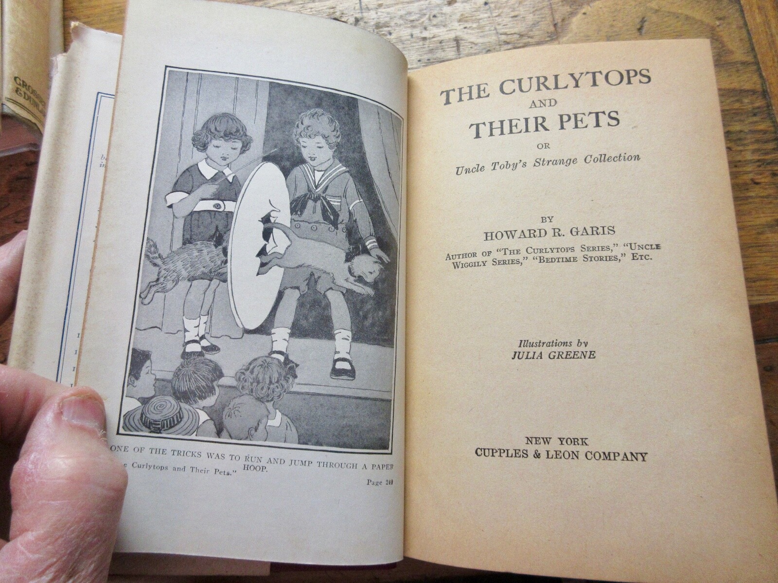 THE CURLYTOPS AND THEIR PETS Dust Jacket DJ 1921