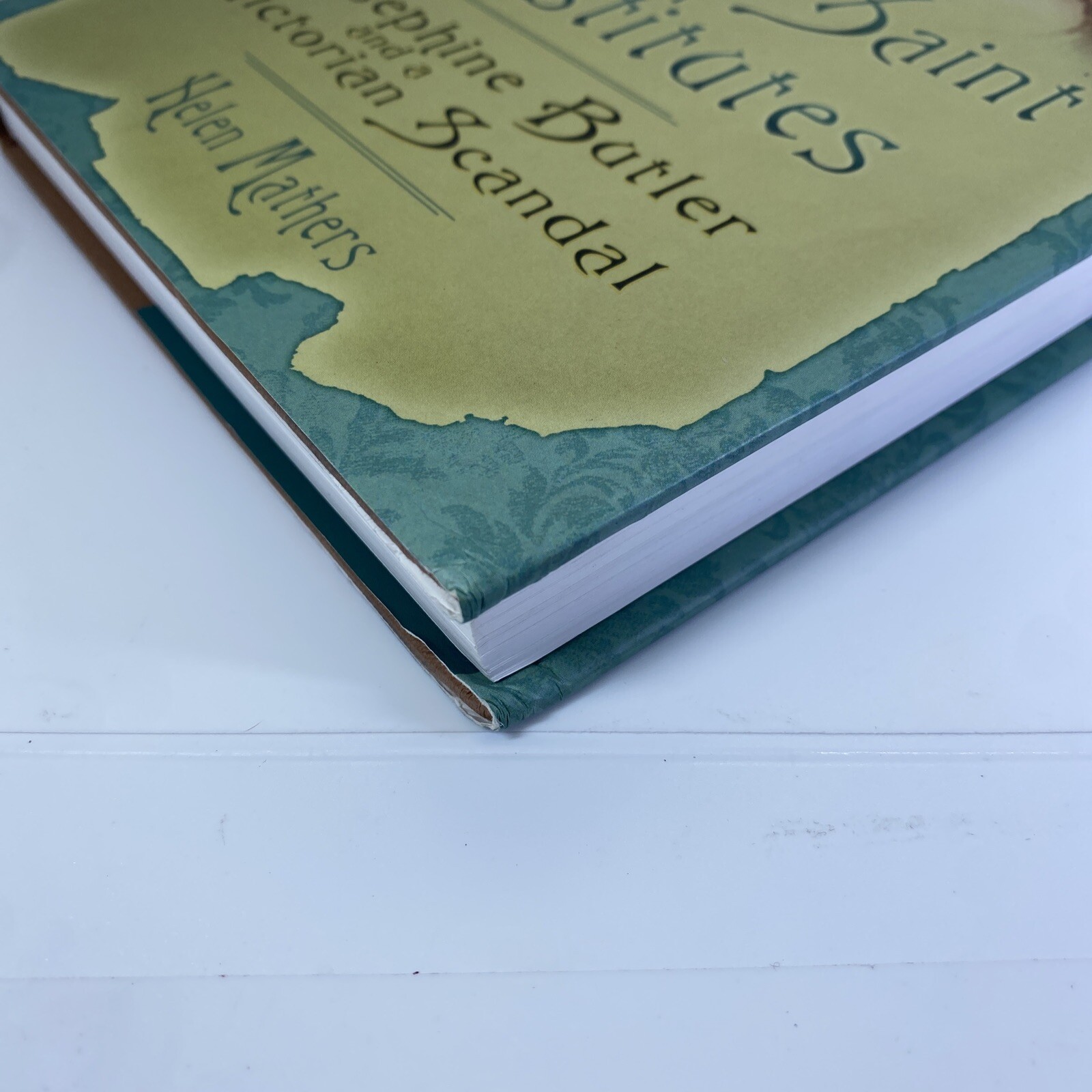 Patron Saint of Prostitutes: Josephine Butler and a Victoria By Helen Mathers