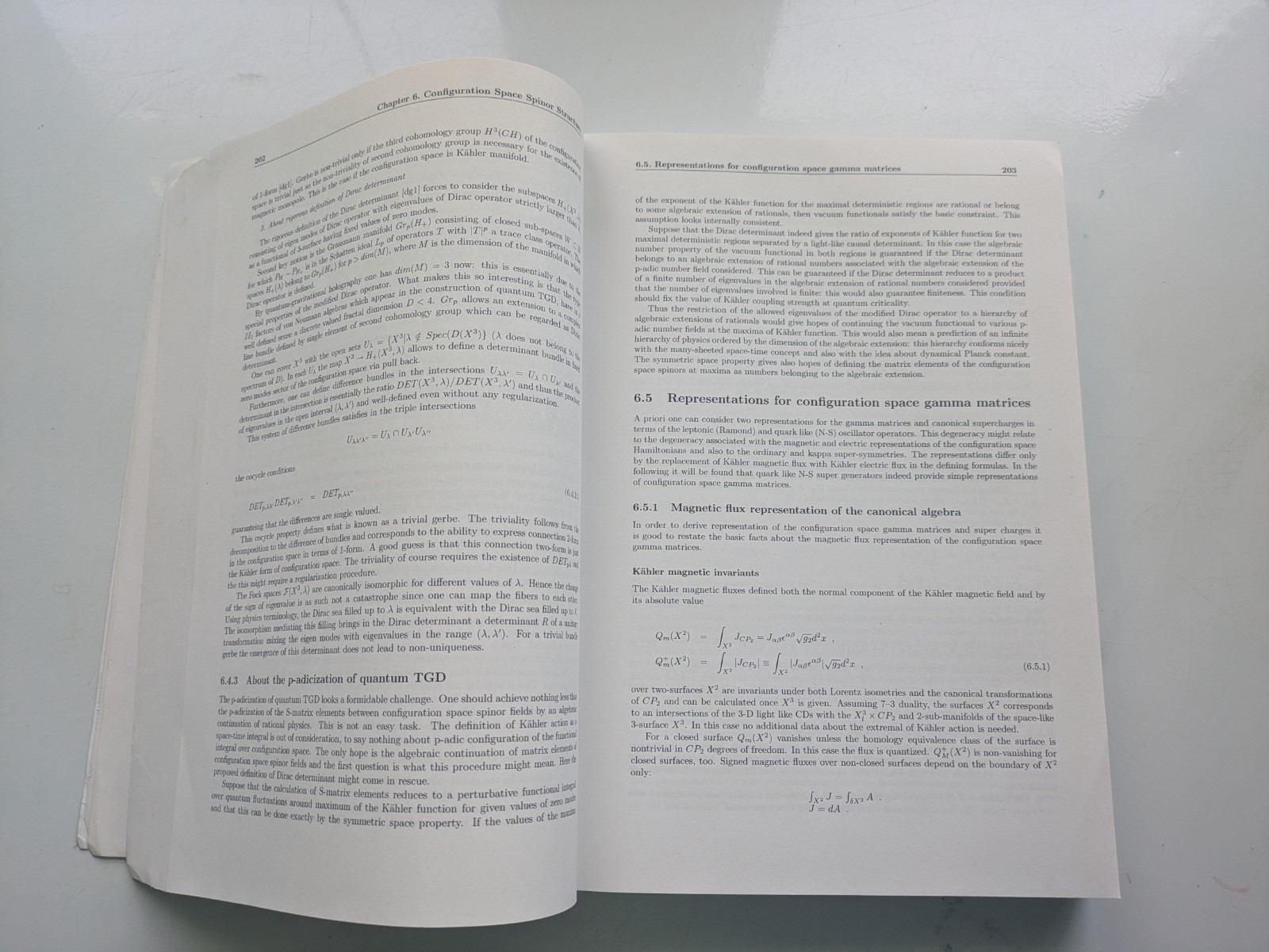 Topological Geometrodynamics – Pitkanen – Relativity Quantum Dark Luniver 2006