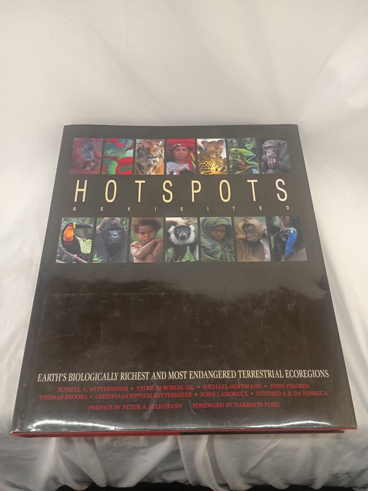 Hotspots Revisited Cenex 2004 HC
