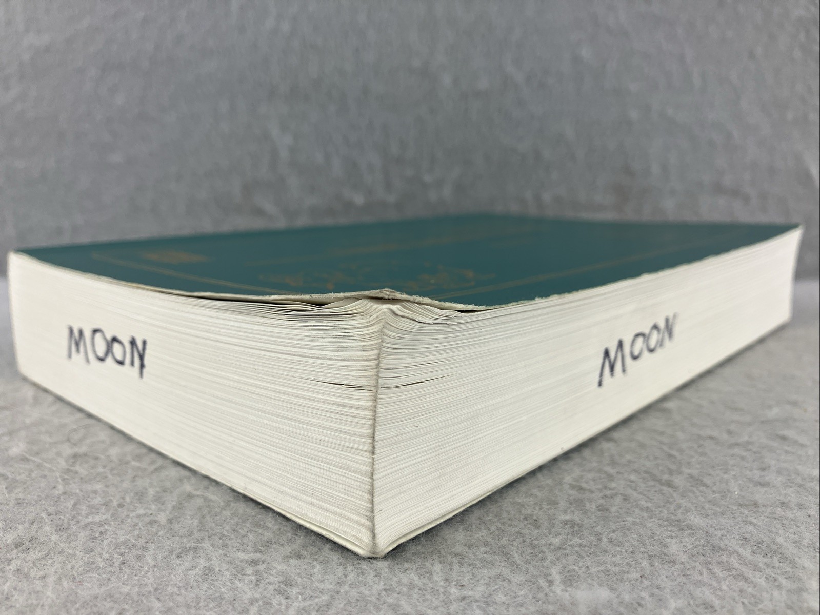 2nd Ed Volume 1 1999 TSCHAUNER’S GUIDE TO SMALL ANIMAL CLINICS Chris Pasquini