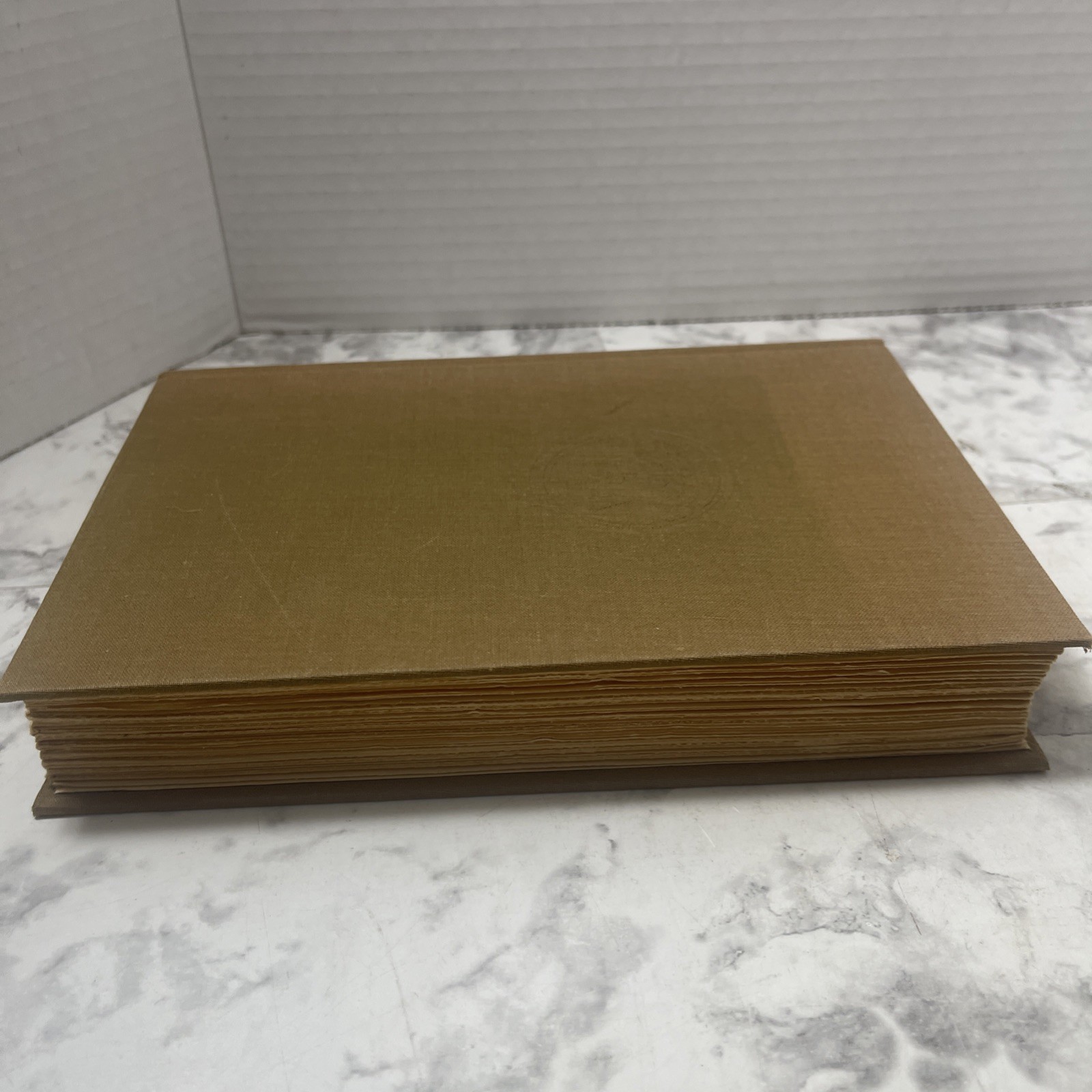 Gabriela Clove And Cinnamon by Jorge Amado – 1962 4th Printing Alfred A. Knopf