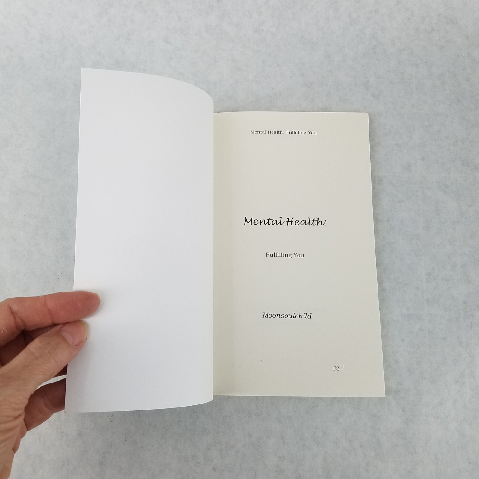 Mental Health: Fulfilling You – 2022 Softcover by Sara Sheehan – LIKE NEW!