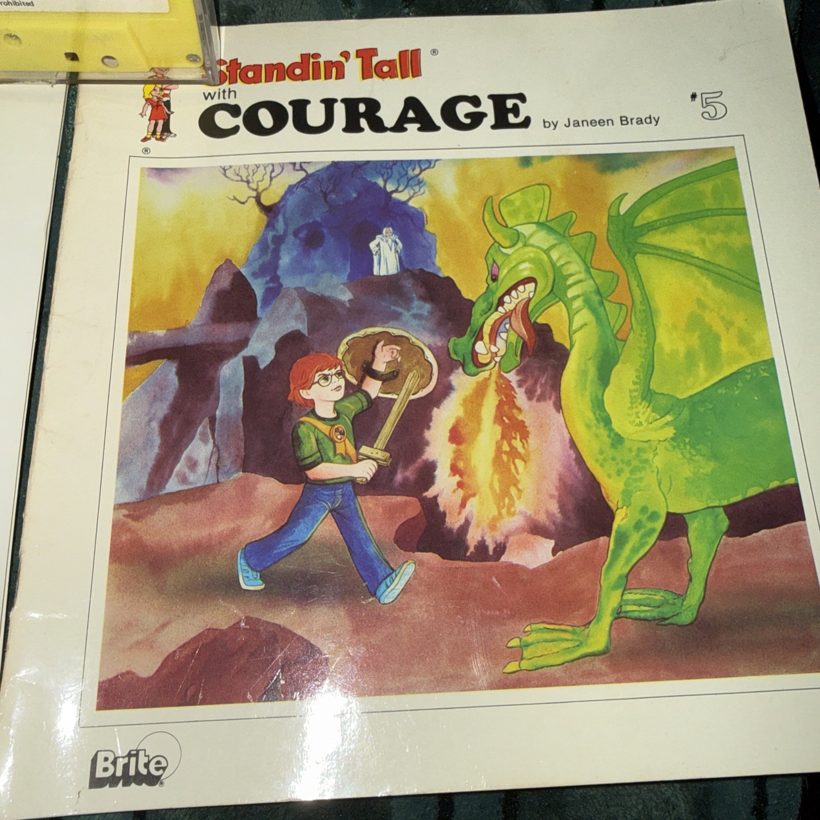 Brite Janeen Brady Standin Tall Lot 4 Books And Tapes Gratitude Courage Honesty
