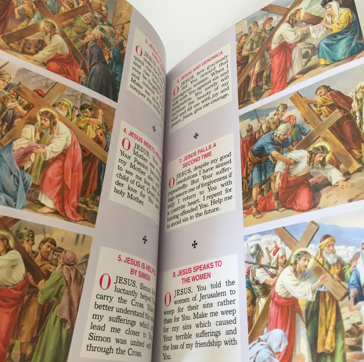 St. Joseph Edition Of The New American Bible Revised 2011 Book Green