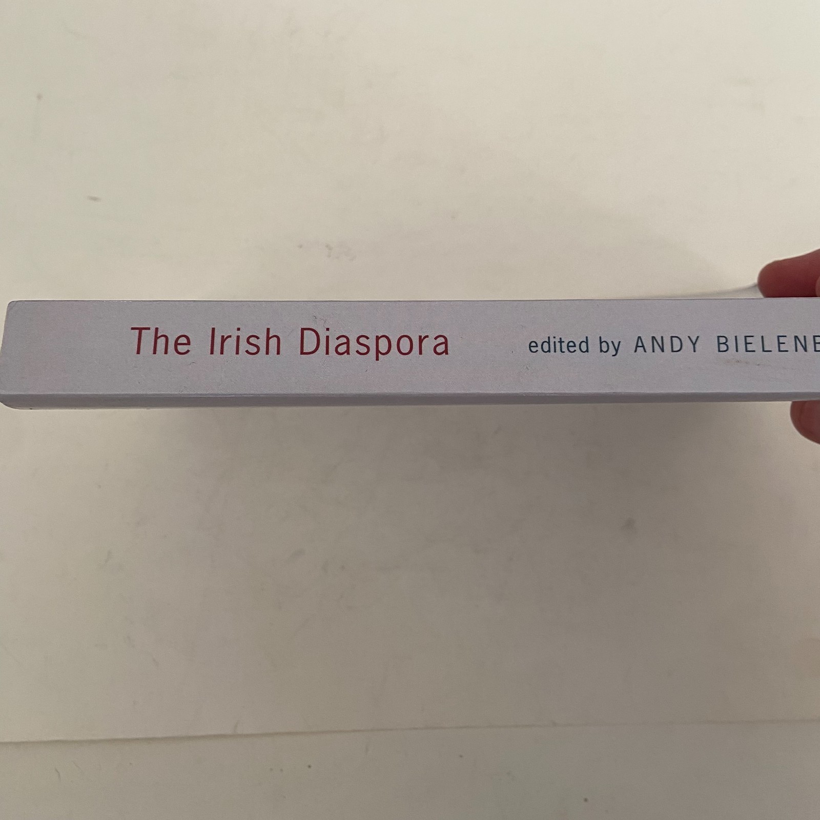 The Irish Diaspora Paperback 2000 Andy Bielenberg