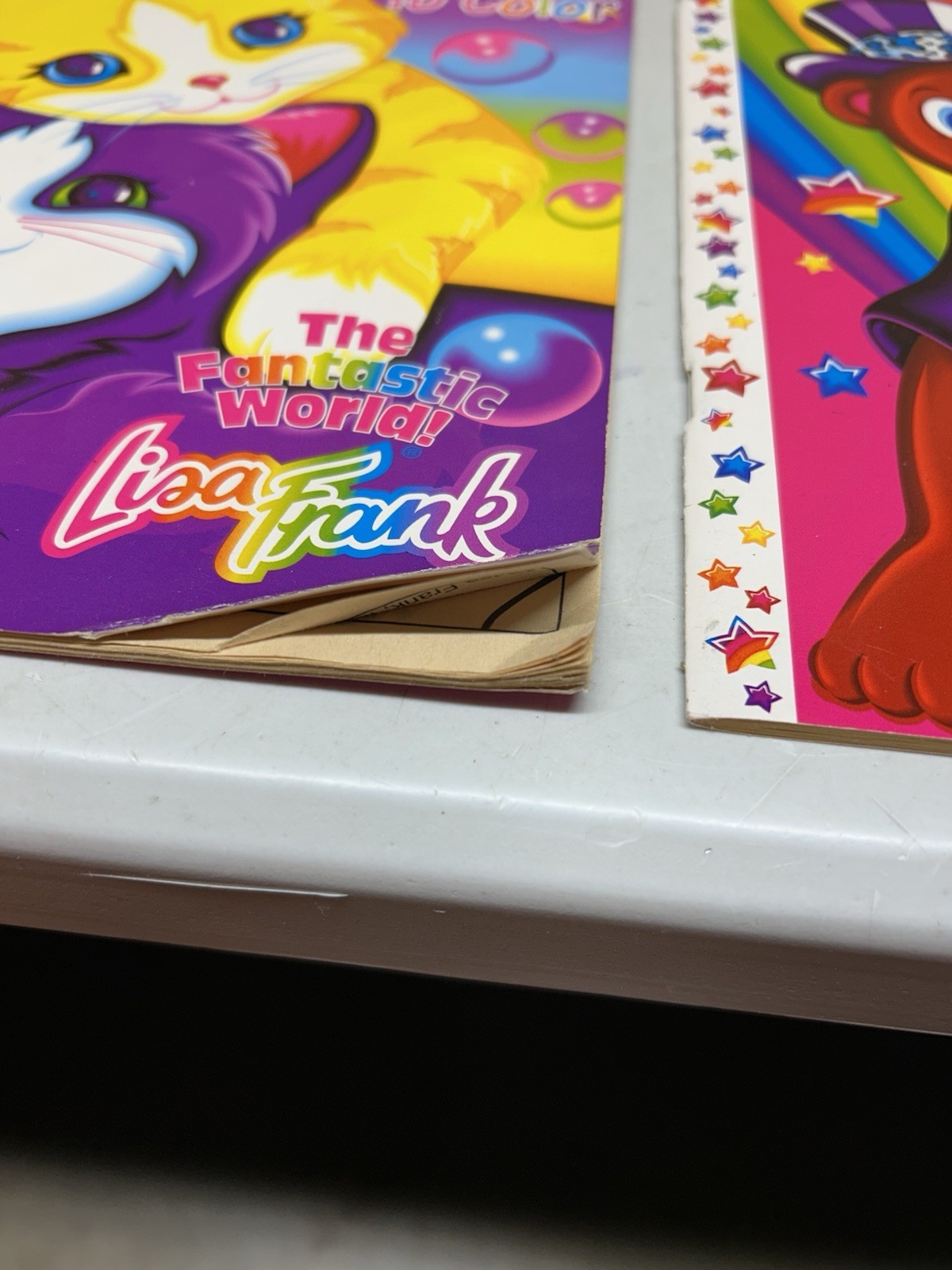 Lot Of Lisa Frank Coloring And Activity Books READ DESCRIPTION