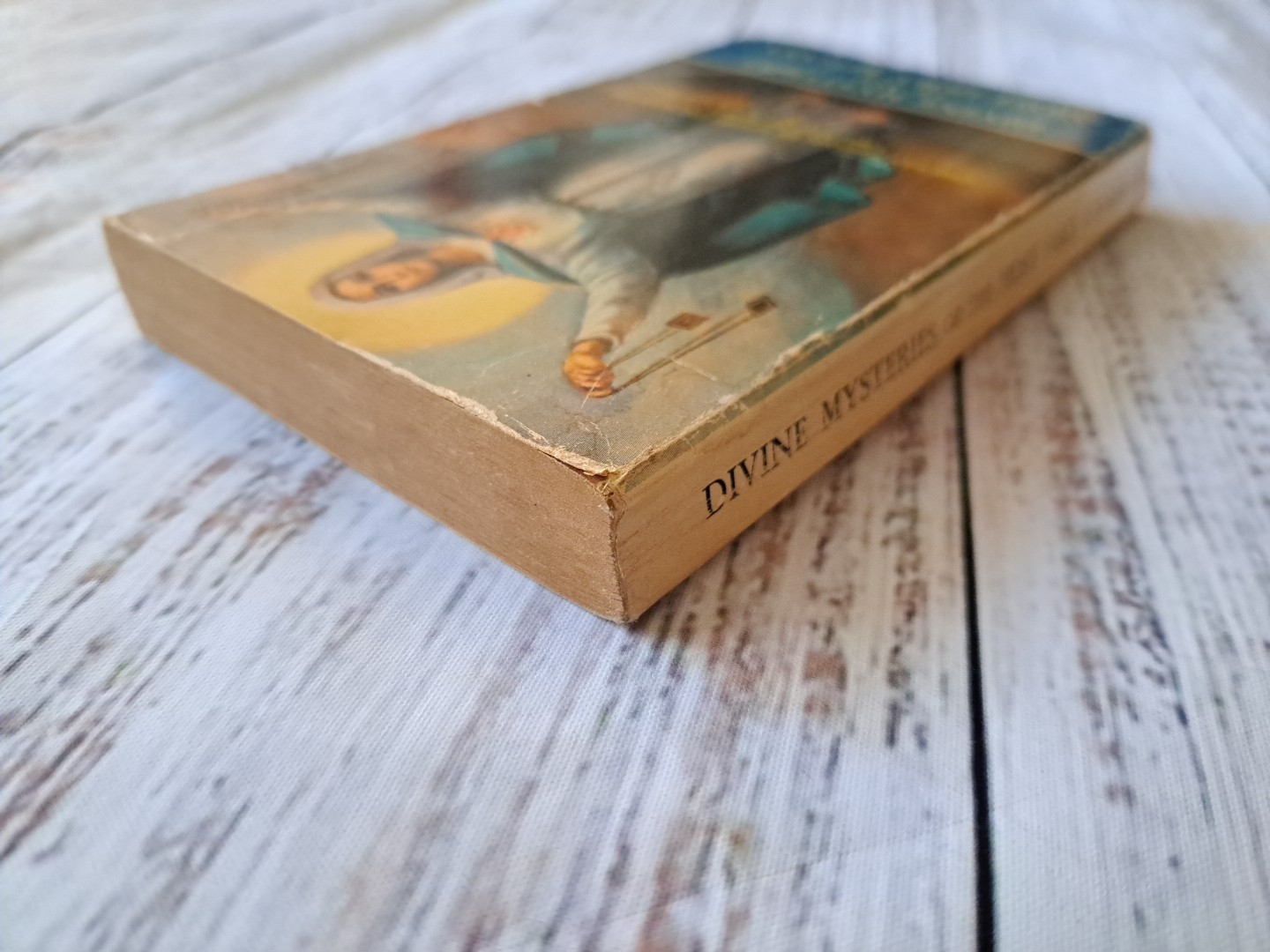 DIVINE MYSTERIES OF MOST HOLY ROSARY By Mary Of Agreda 3rd printing 328 pages