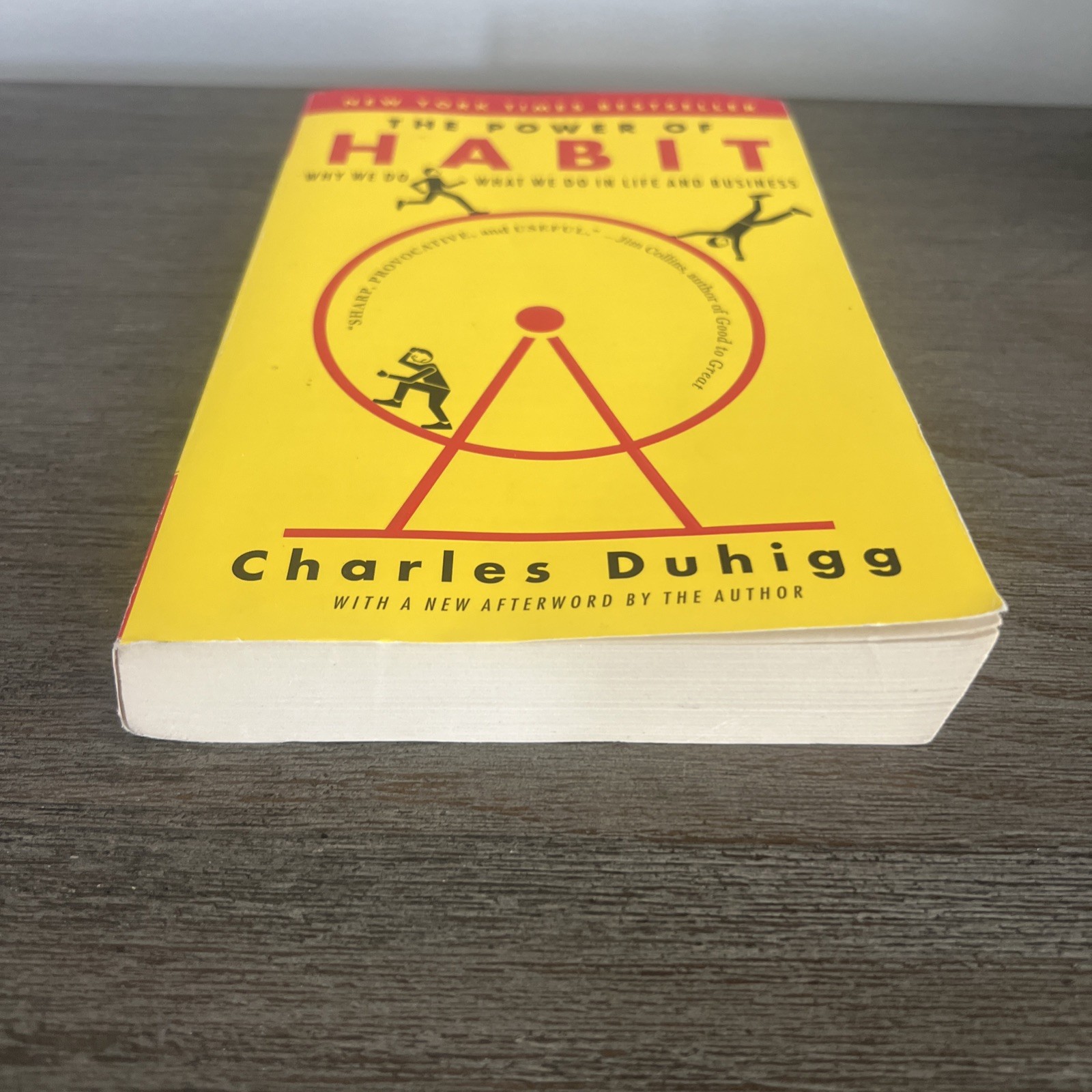 Power of Habit : Why We Do What We Do in Life and Business by Charles Duhigg…