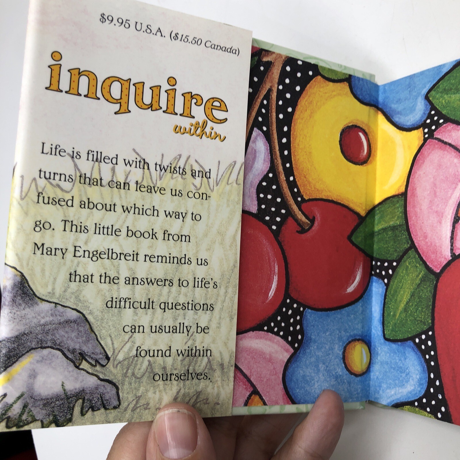 Inquire Within by Regan, Patrick Mary Engelbreit Andrews McMeel Publishing