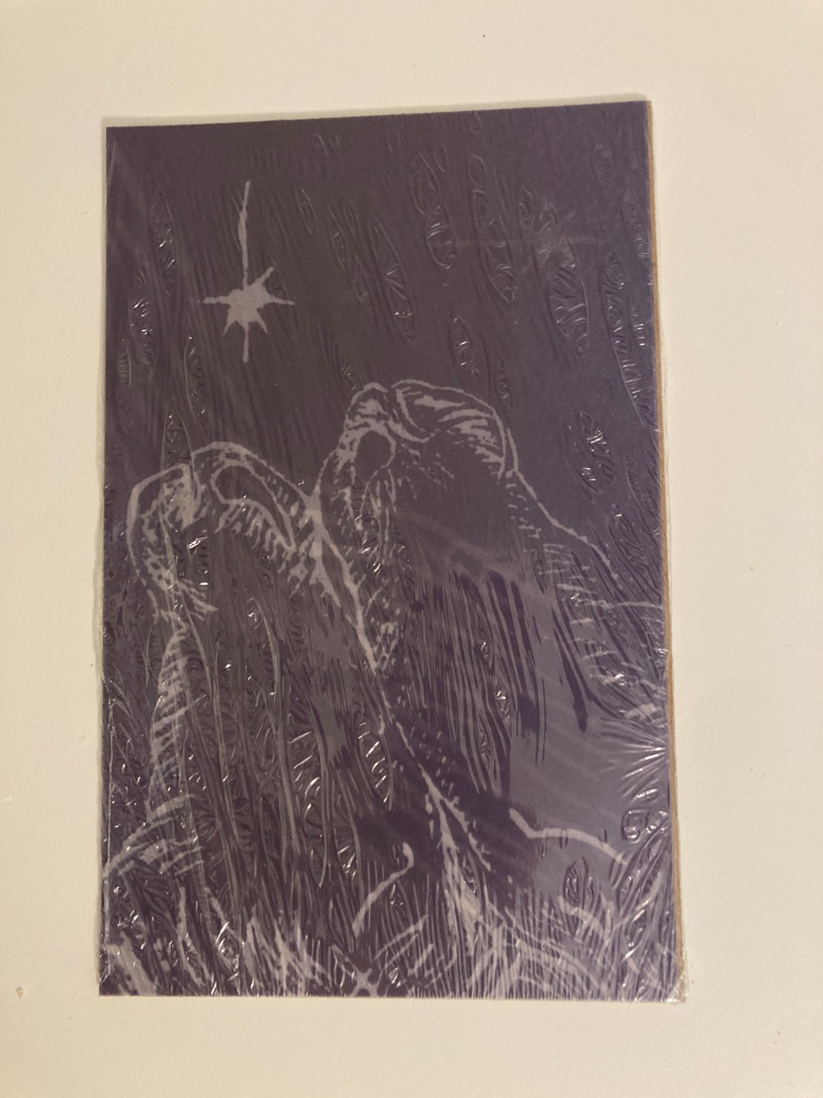 Tom’s Crossing: A Novel by Mark Z. Danielewski 2025 HC SIGNED 1st w/Art Print