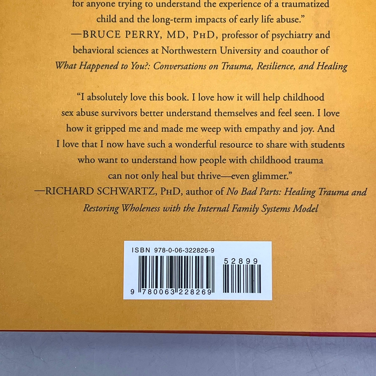 GLIMMER A Child Abuse, Memoir & Women’s Biography By Kimberly Shannon Murphy
