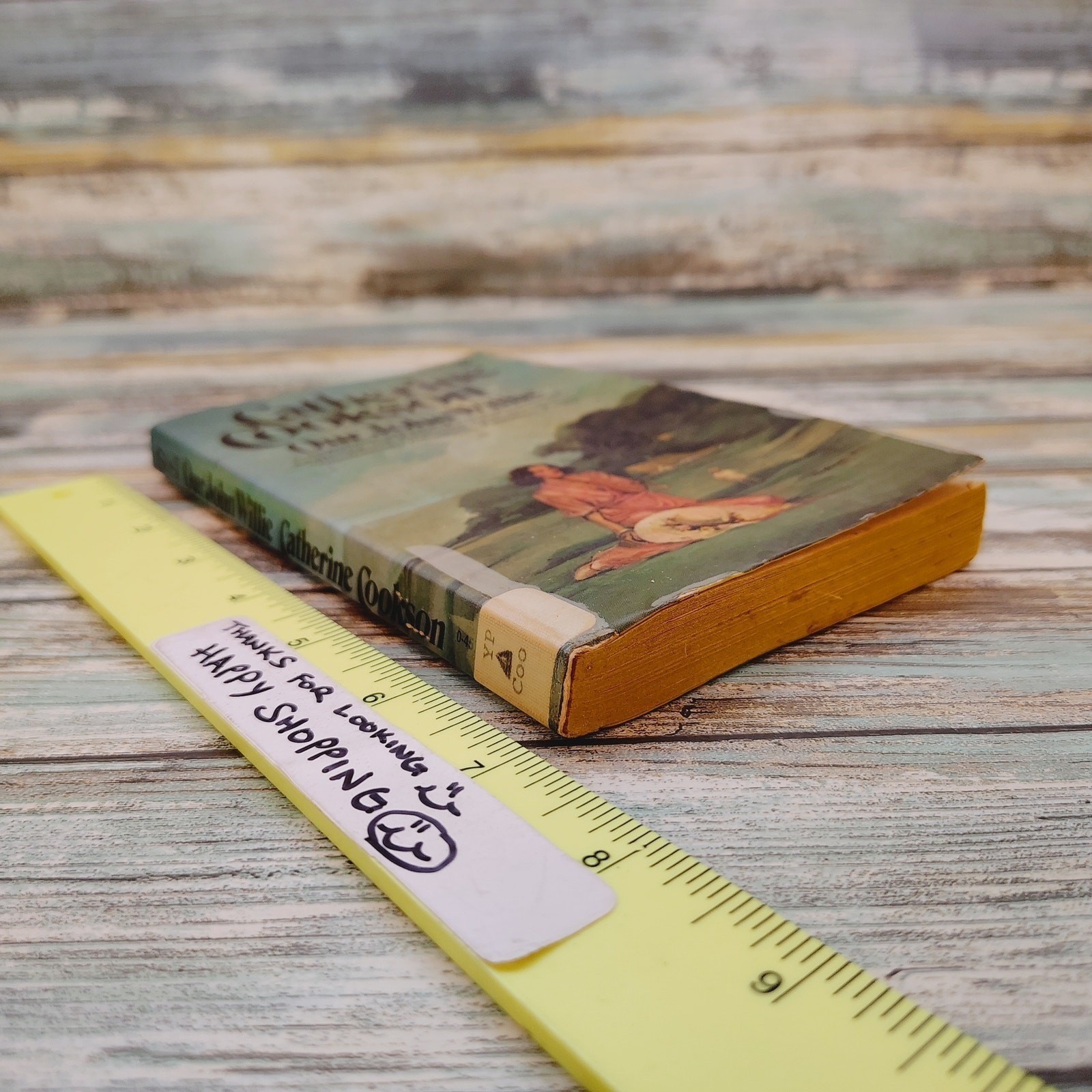 Our John Willie Catherine Cookson 1975 Vintage Paperback – Bookworm FLAW