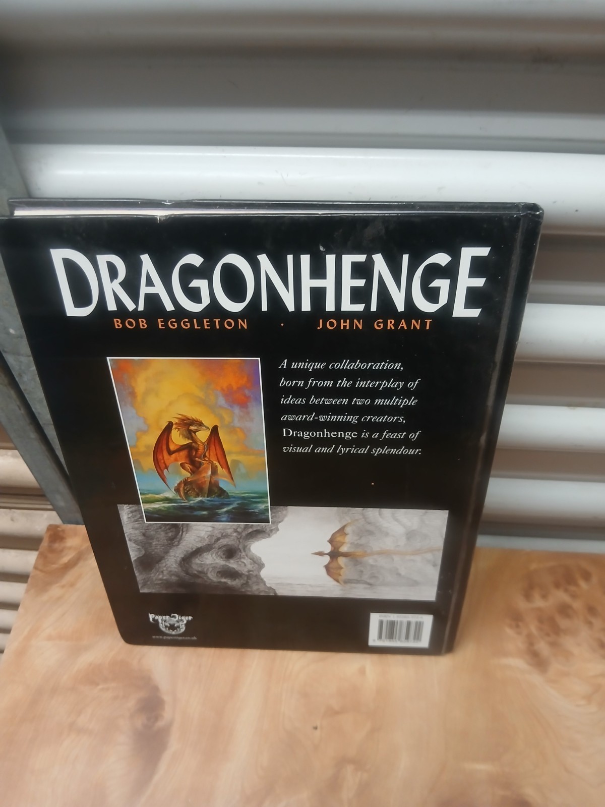 Dragonhenge Book by Bob Eggleton & John Grant Fantasy Medieval Magic Gift Legend