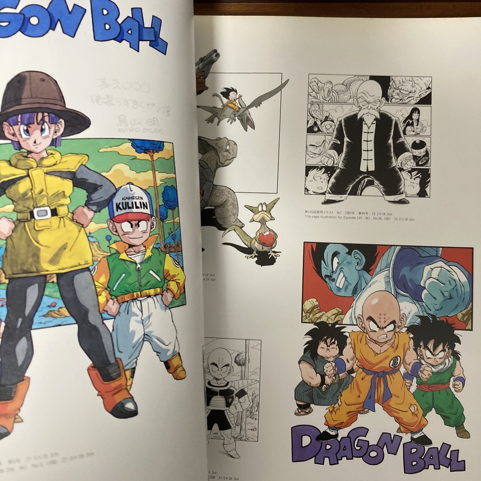 Akira Toriyama Exhibition Art Book 1993 ver. Dragon Ball Illustration