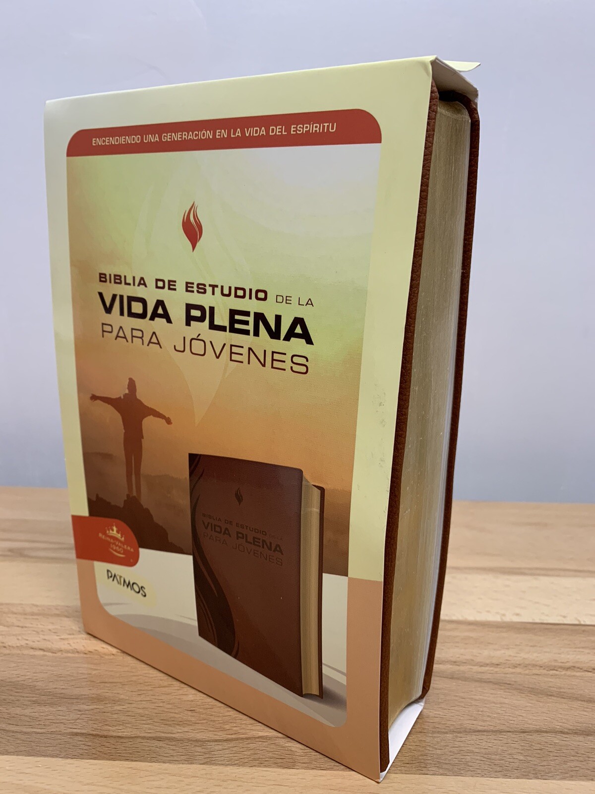 BIBLIA DE ESTUDIO DE LA VIDA PLENA PARA JOVENES, REINA VALERA 1960, PIEL CAFE