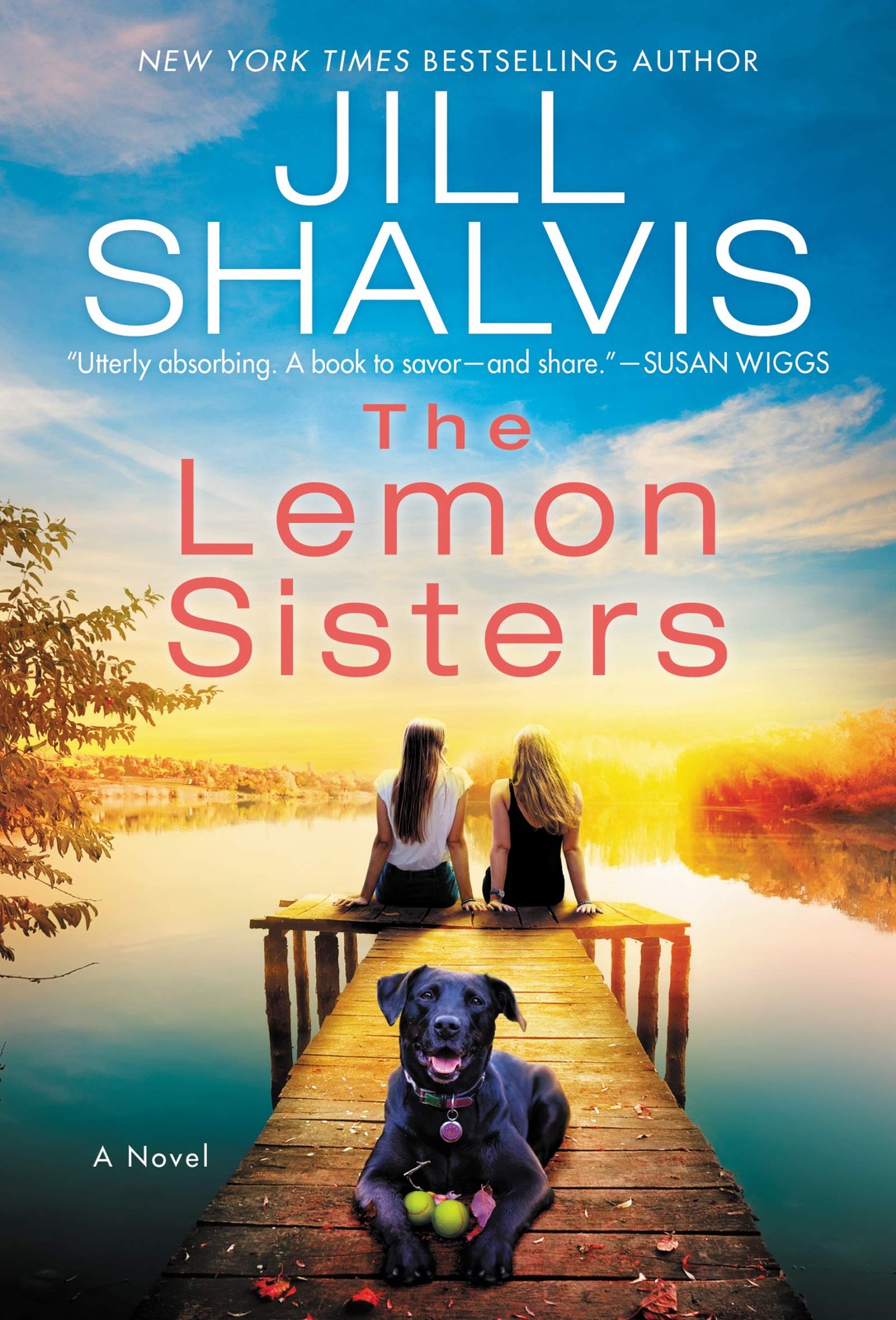 The Lemon Sisters: A Novel (The Wildstone Series, 3) – mass market paperback…