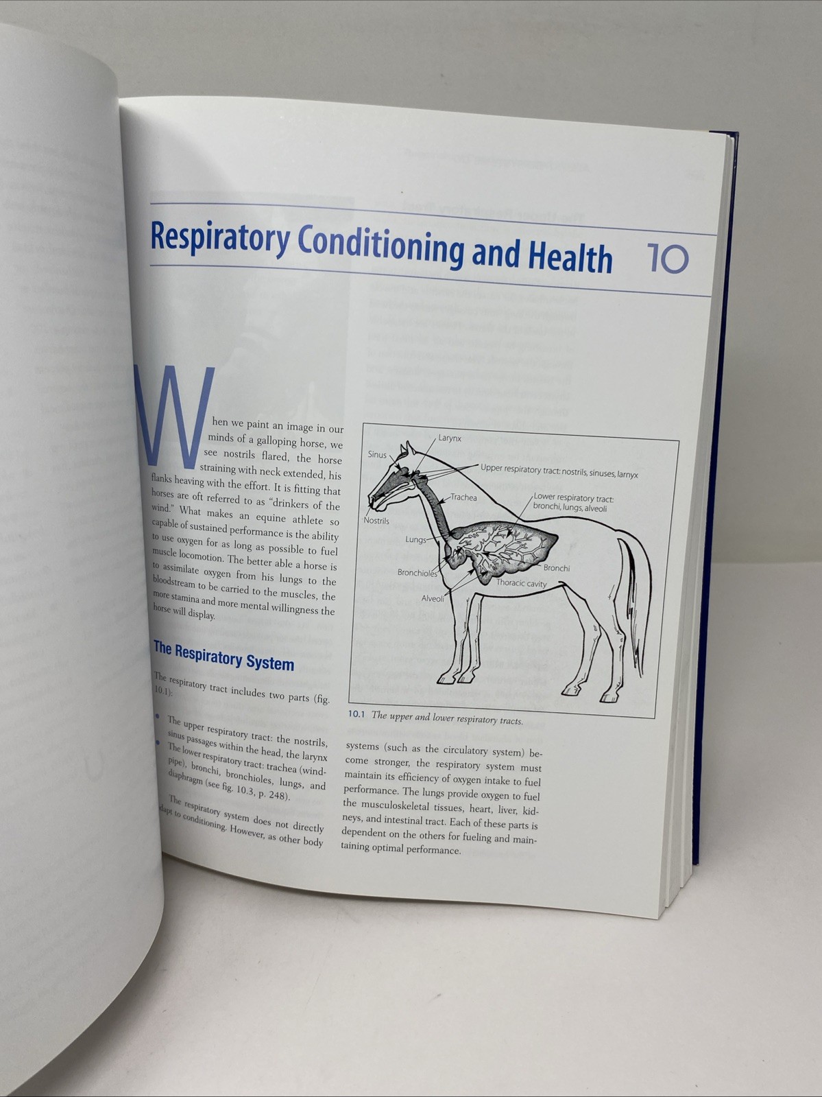 All Horse Systems Go The Horse Owner’s Full-Color Veterinary Care FREE SHIPPING!