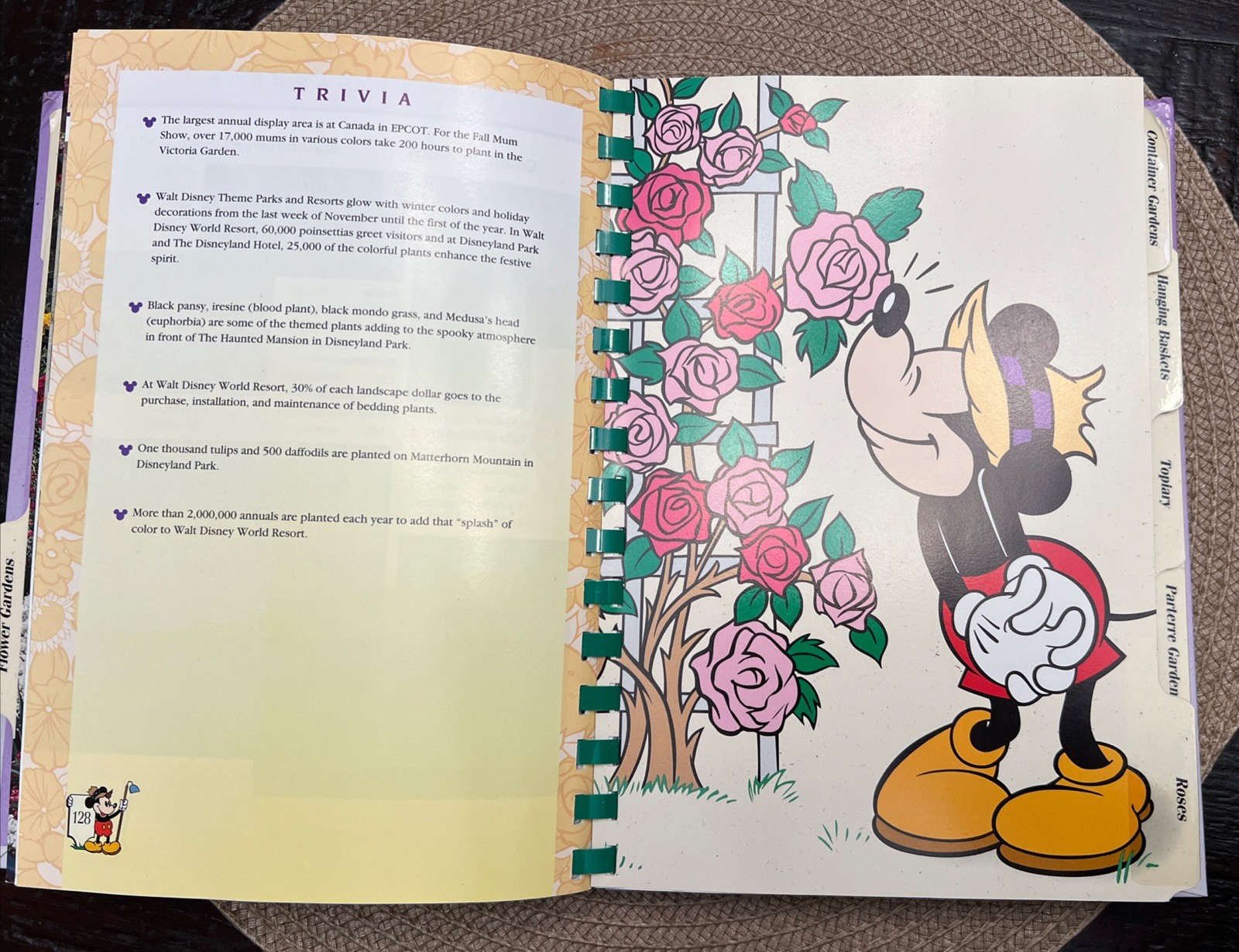 Disney’s Gardening with MICKEY 1st Edition Hardcover With Spiral Binding