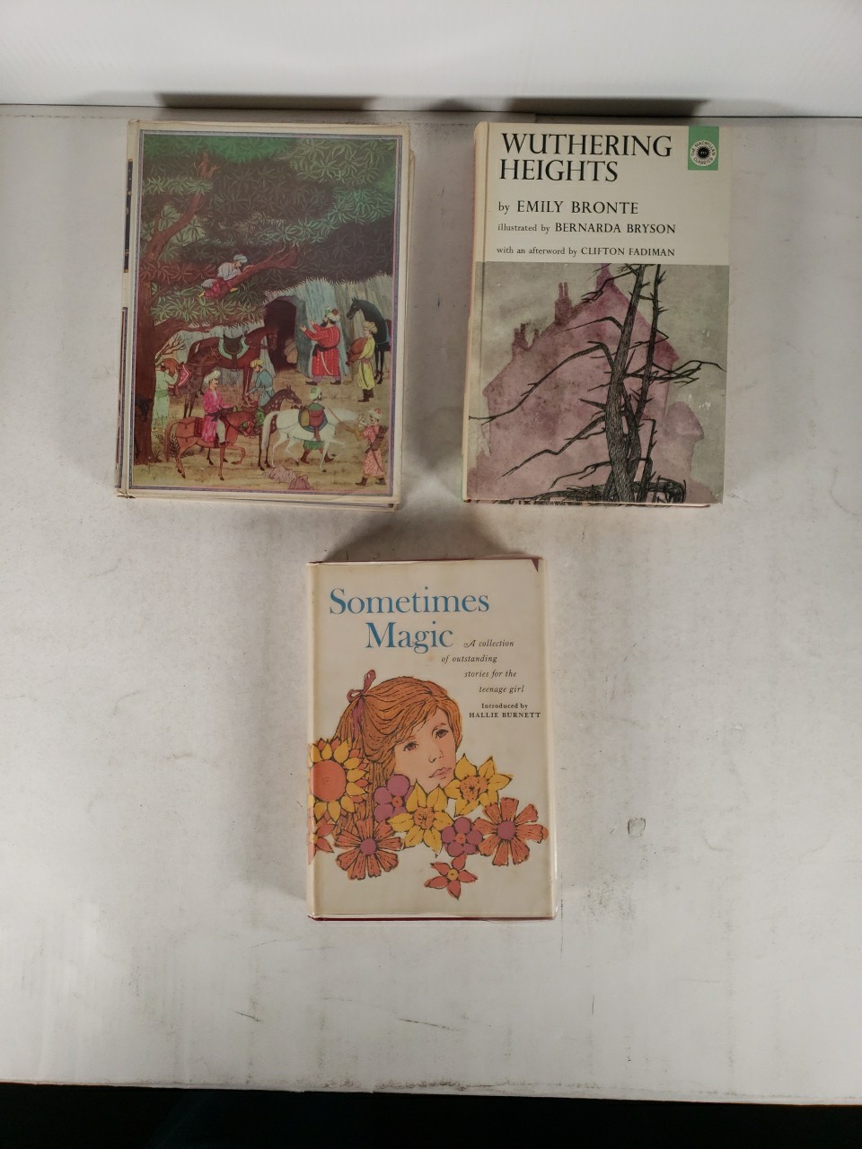 Great Books for Teen Readers (9 Book Lot) Wutherine Heights, Oz, Little Women