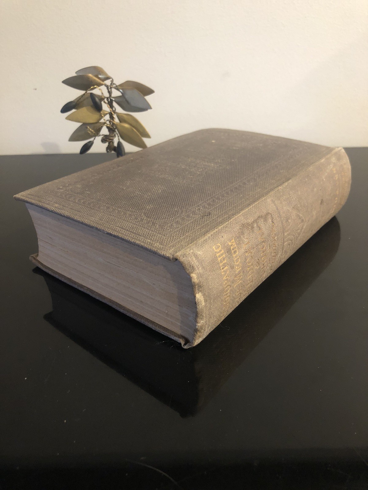 Homoeopathic Vade Mecum H Ruddock Gould&Son 8th Edition 1877 Medical&Surgery ExL