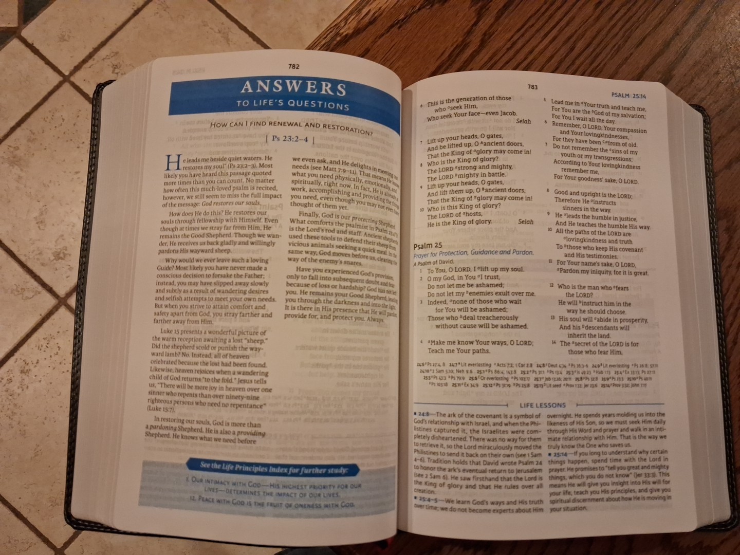 NASB Charles Stanley Life Principles Bible ~Retail $80 BLACK LEATHER SOFT 2nd Ed