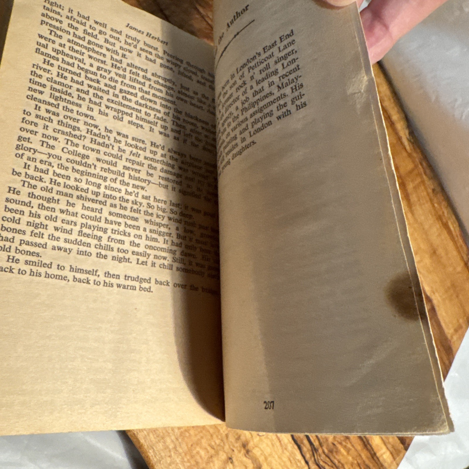 THE SURVIVOR 1977 PAPERBACK BOOK BY JAMES HERBERT