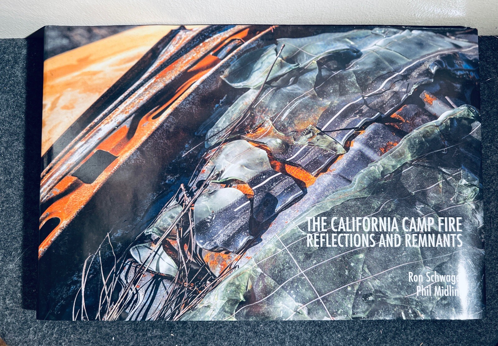 The California Camp Fire: Reflections and Remnants SIGNED by Author HC/DJ