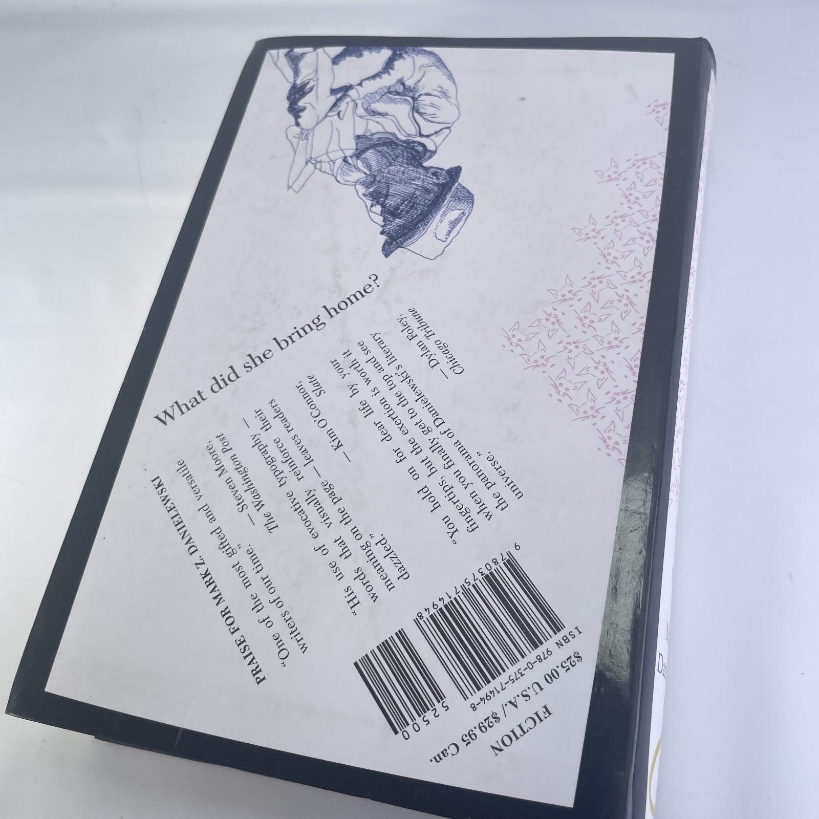 The Familiar Volume 1 One Rainy Day in May Mark Z. Danielewski Thriller Suspense