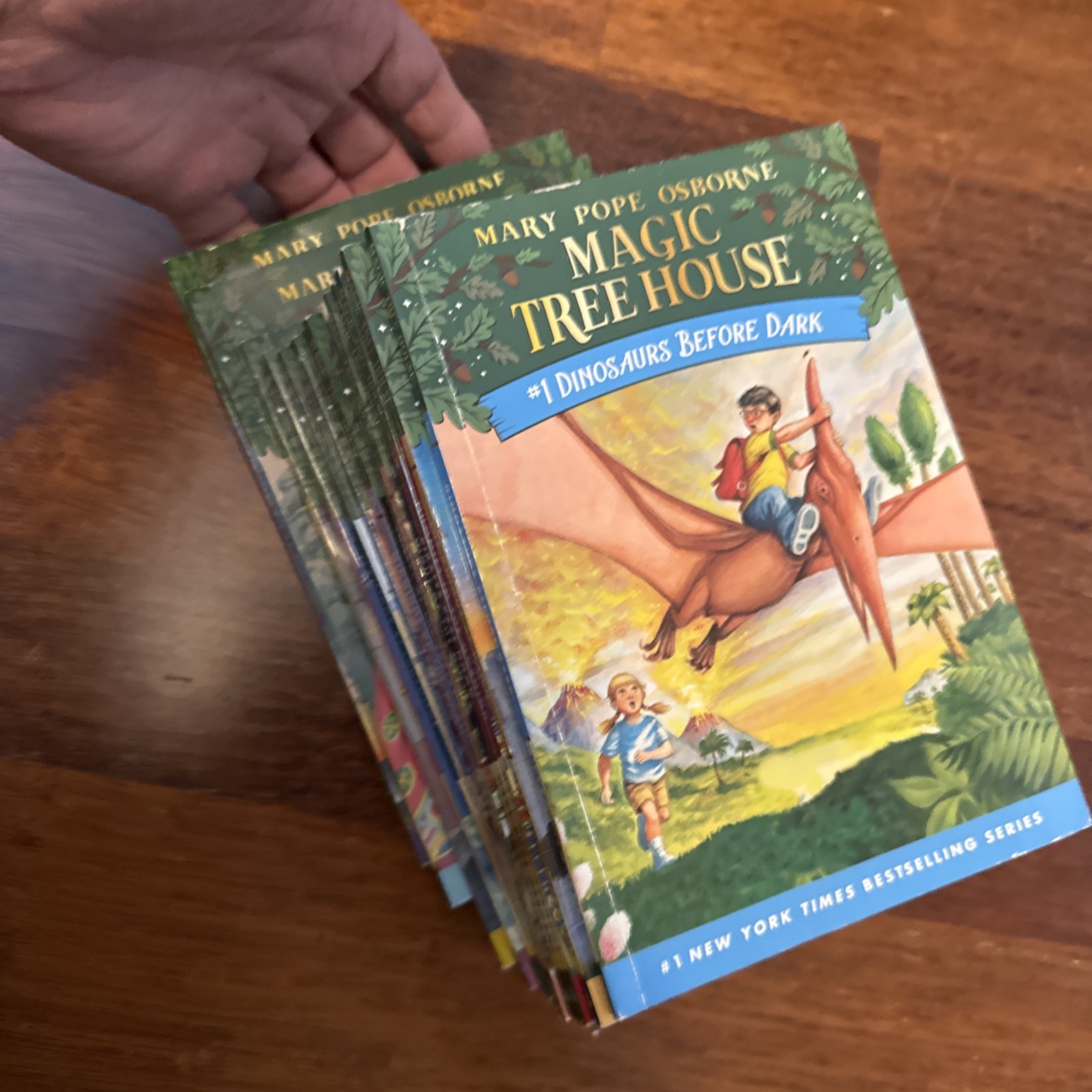 Magic Tree House Ser.: Night of the Ninjas by Mary Pope Osborne Book 1-15 Set 15