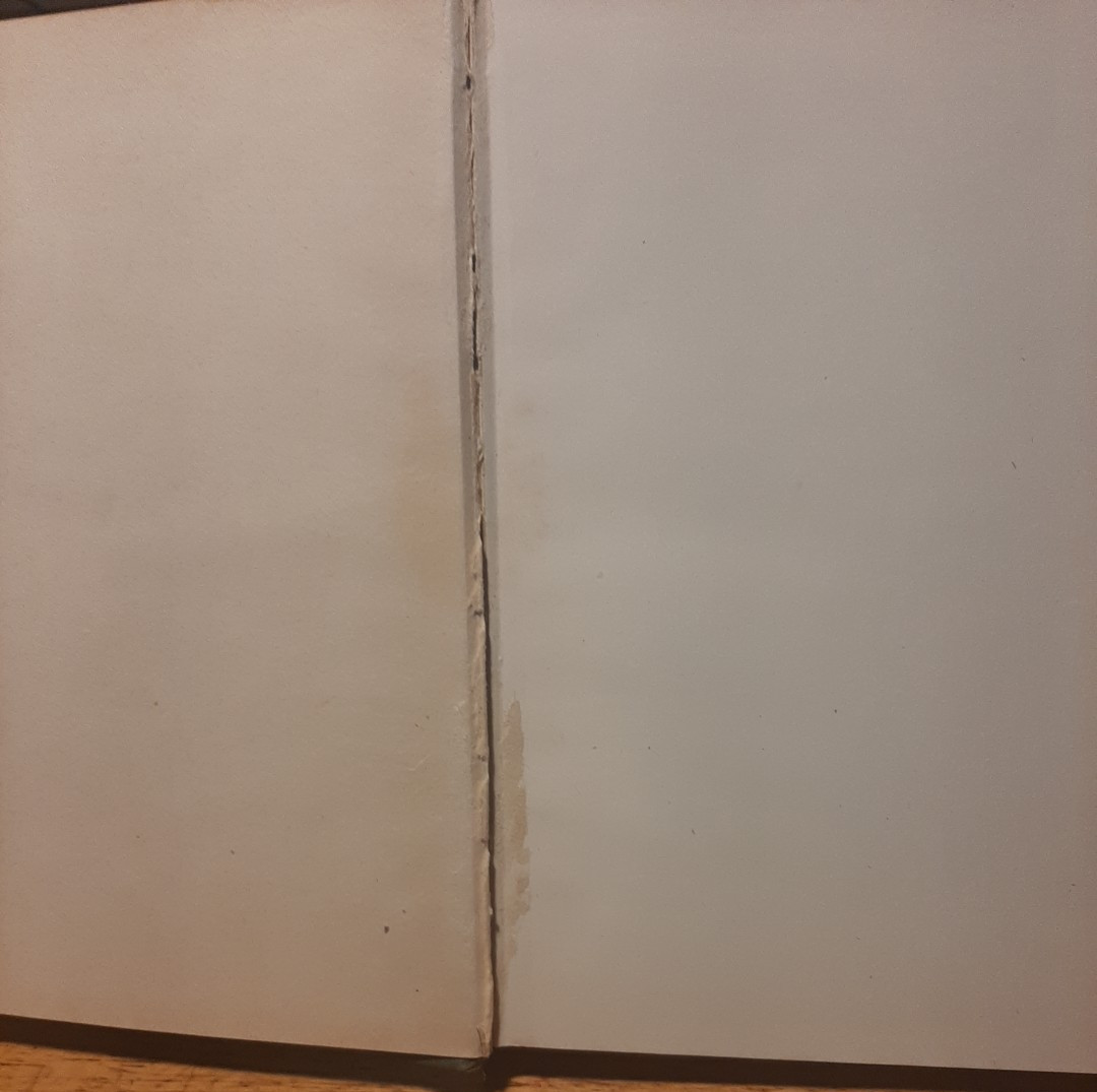 The Stoenberg Affair by Ralph A. Goodwin – Hardcover 1913