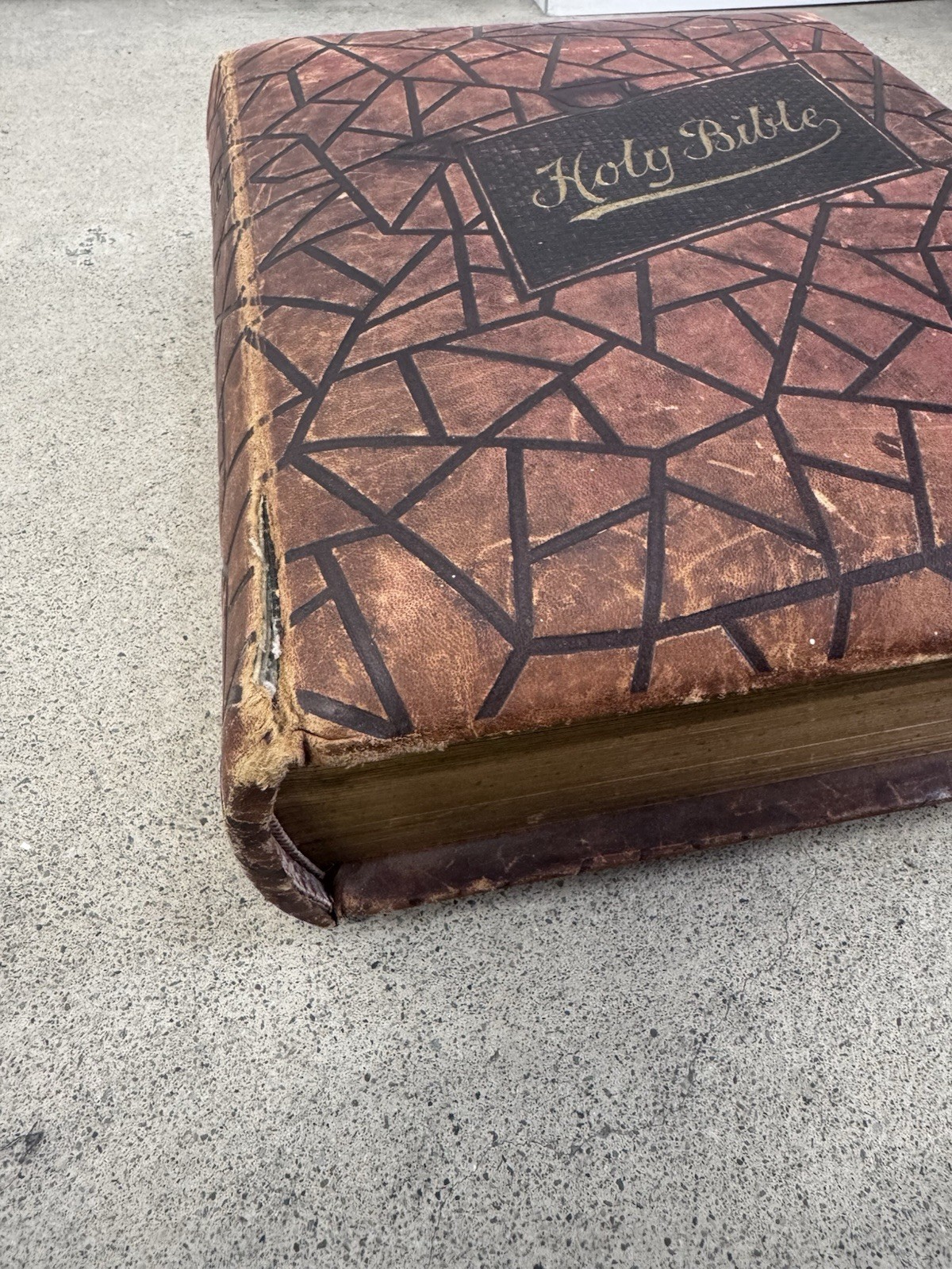 1800s Vintage Book Holy Bible Altemus Antique Leather Original