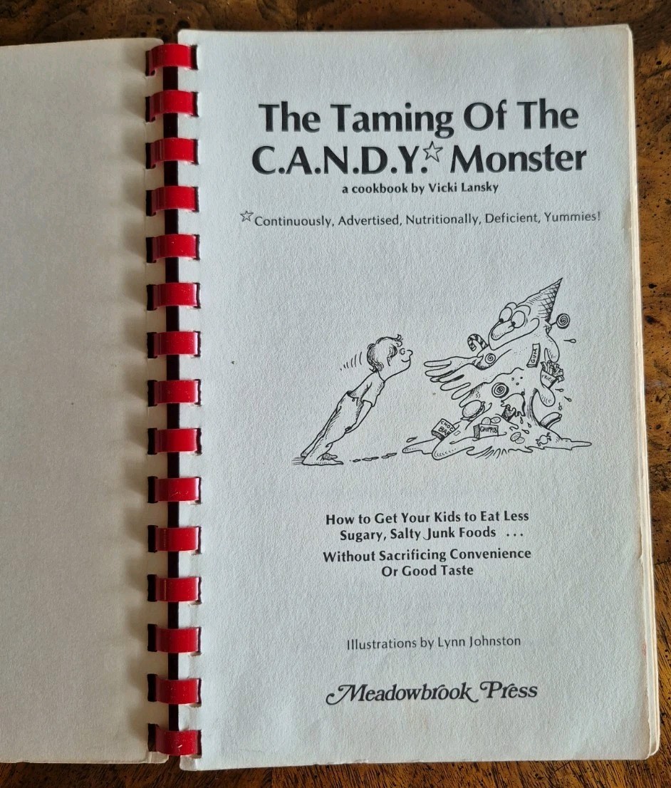 Vintage The Taming of the Candy Monster Cookbook Recipe 1979 By Vicki Lansky
