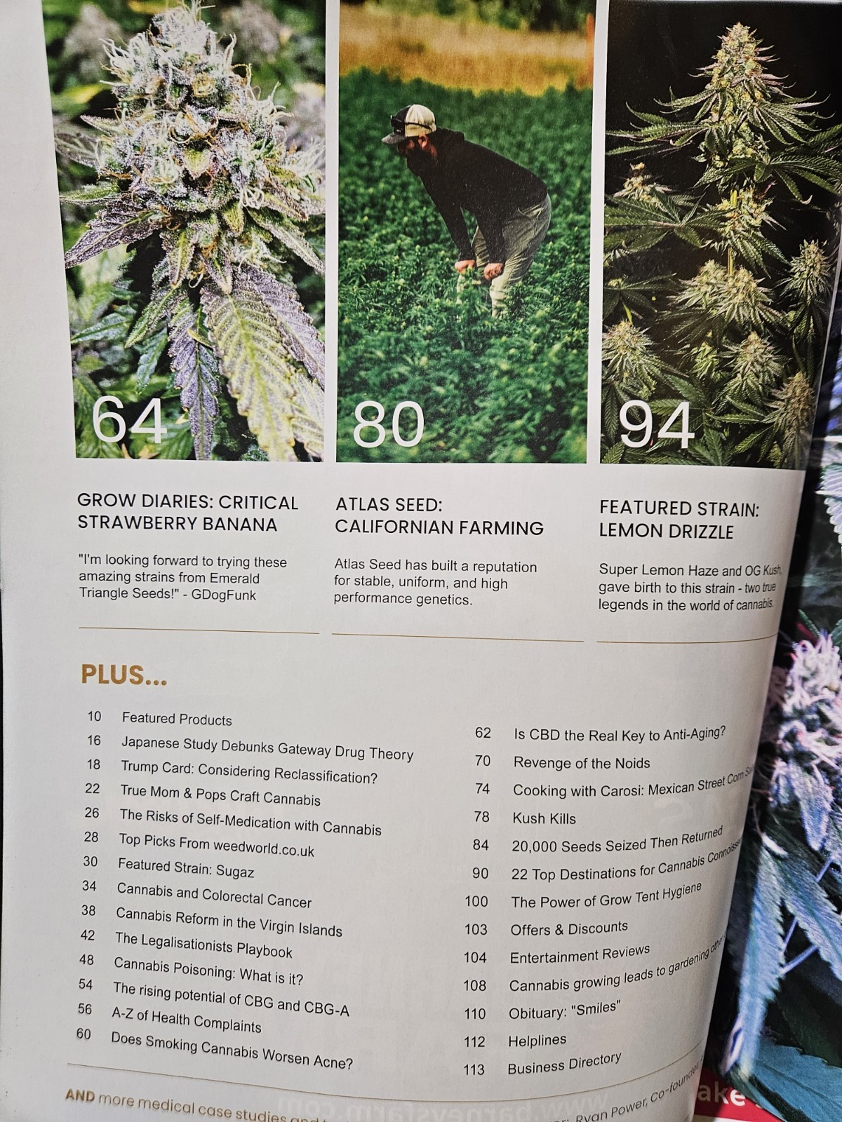Weed World Issue 175 CALI FARMING WITH ATLAS SEEDS CANNABIS VS ACNE 114 PAGES