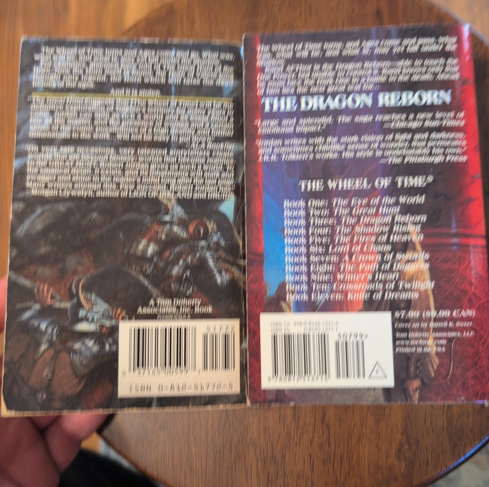 Book 2 and 3 The Wheel of Time Series by Robert Jordan Paperback Book Lot