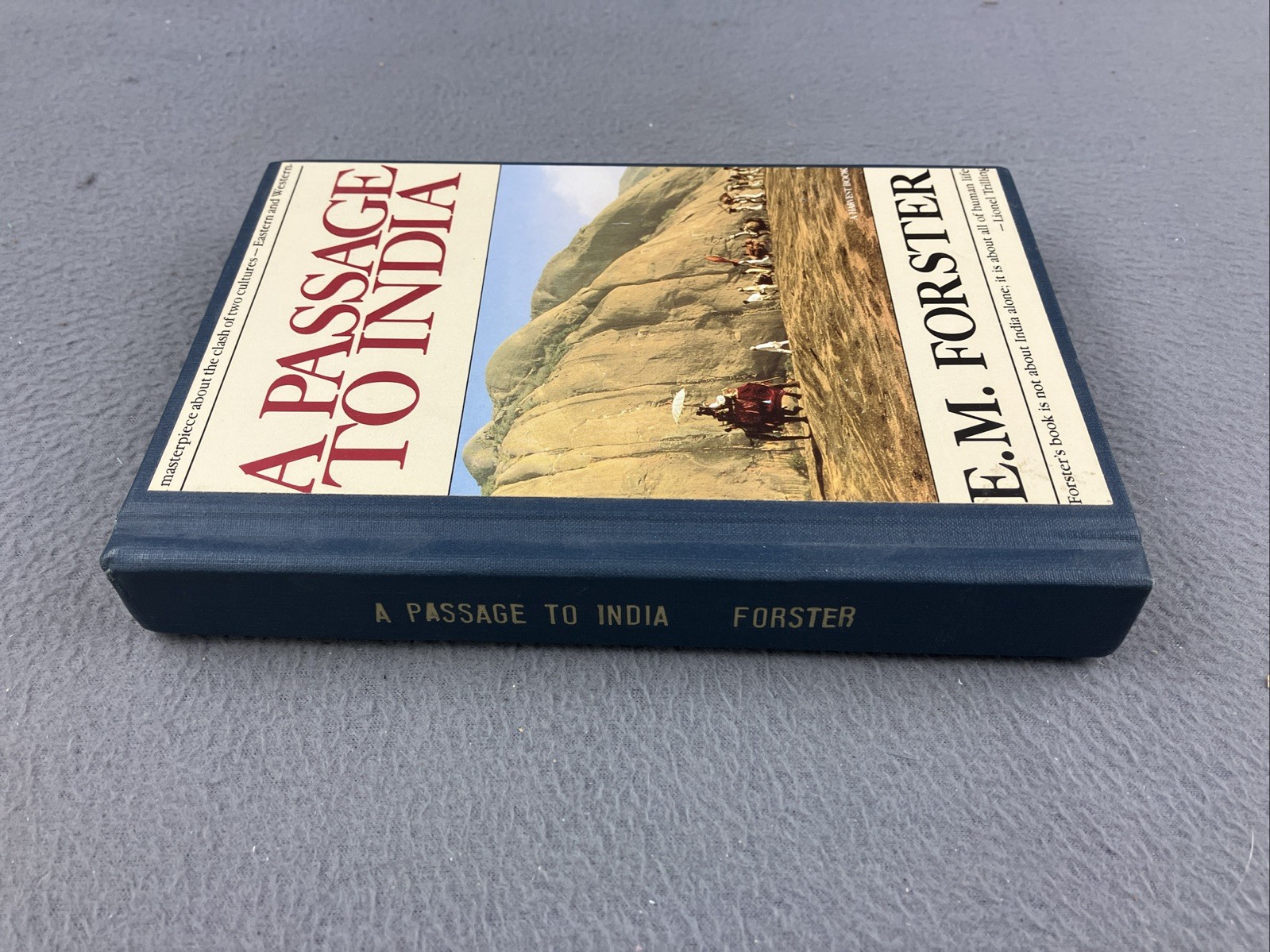 A Passage to India by E.M. Forster Hardcover Classical Education
