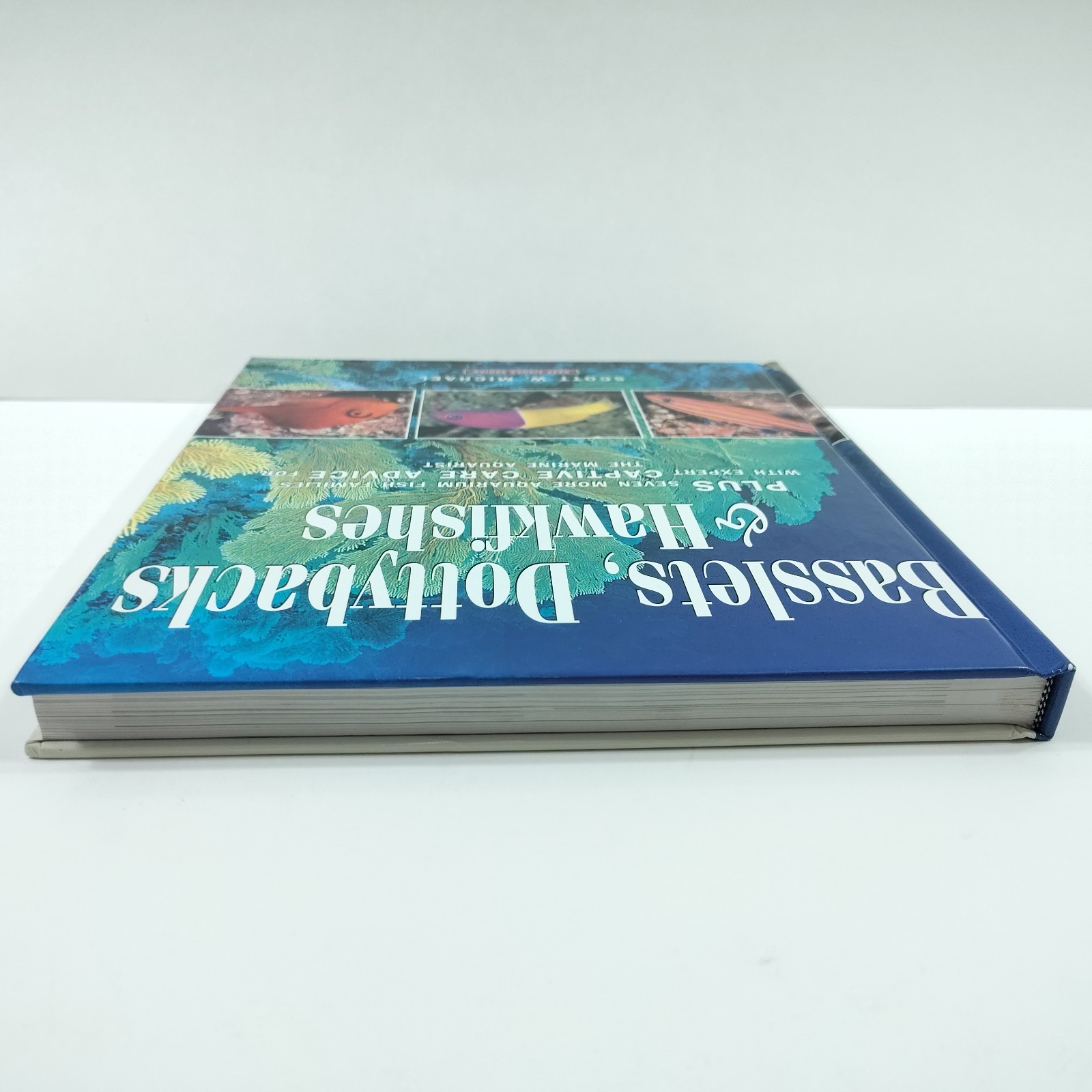 Basslets, Dottybacks & Hawkfishes [Like New] Scott Michael Aqarium Fish Families