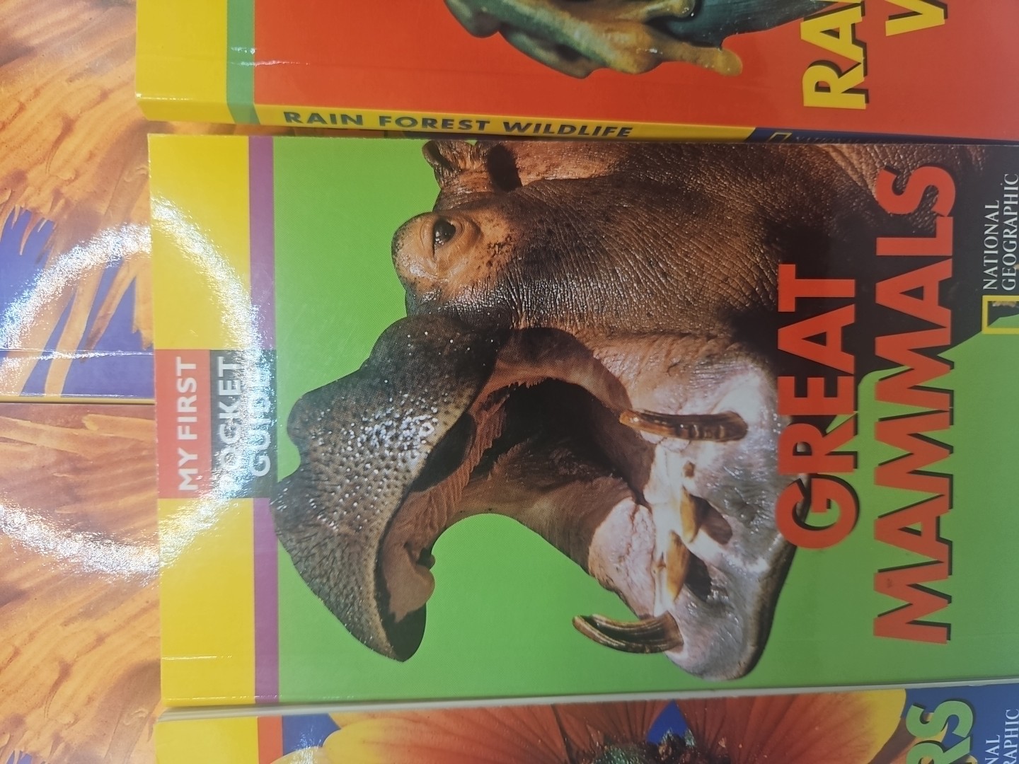 National Geographic My First Pocket Guides: Big Collection 11 Books science
