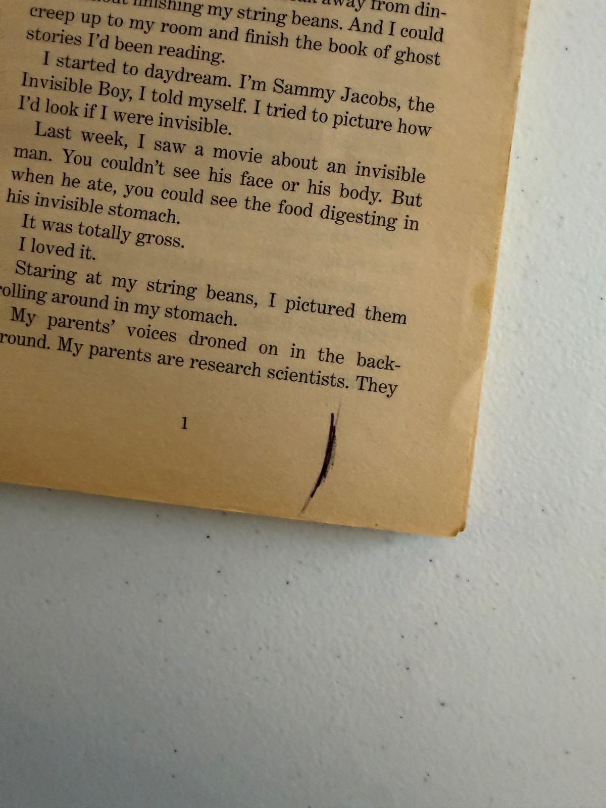 R.L. Stine Goosebumps – My Best Friend is Invisible #57 See Description