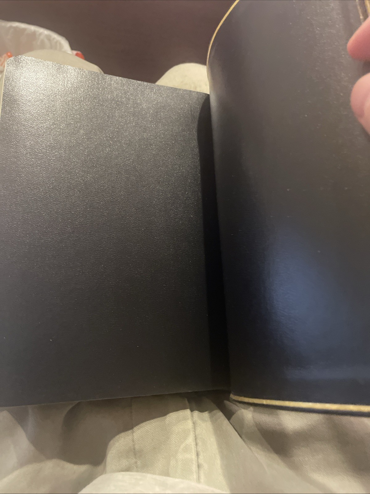 NIV Thinline Bible by Zondervan Staff (2005, Leather)