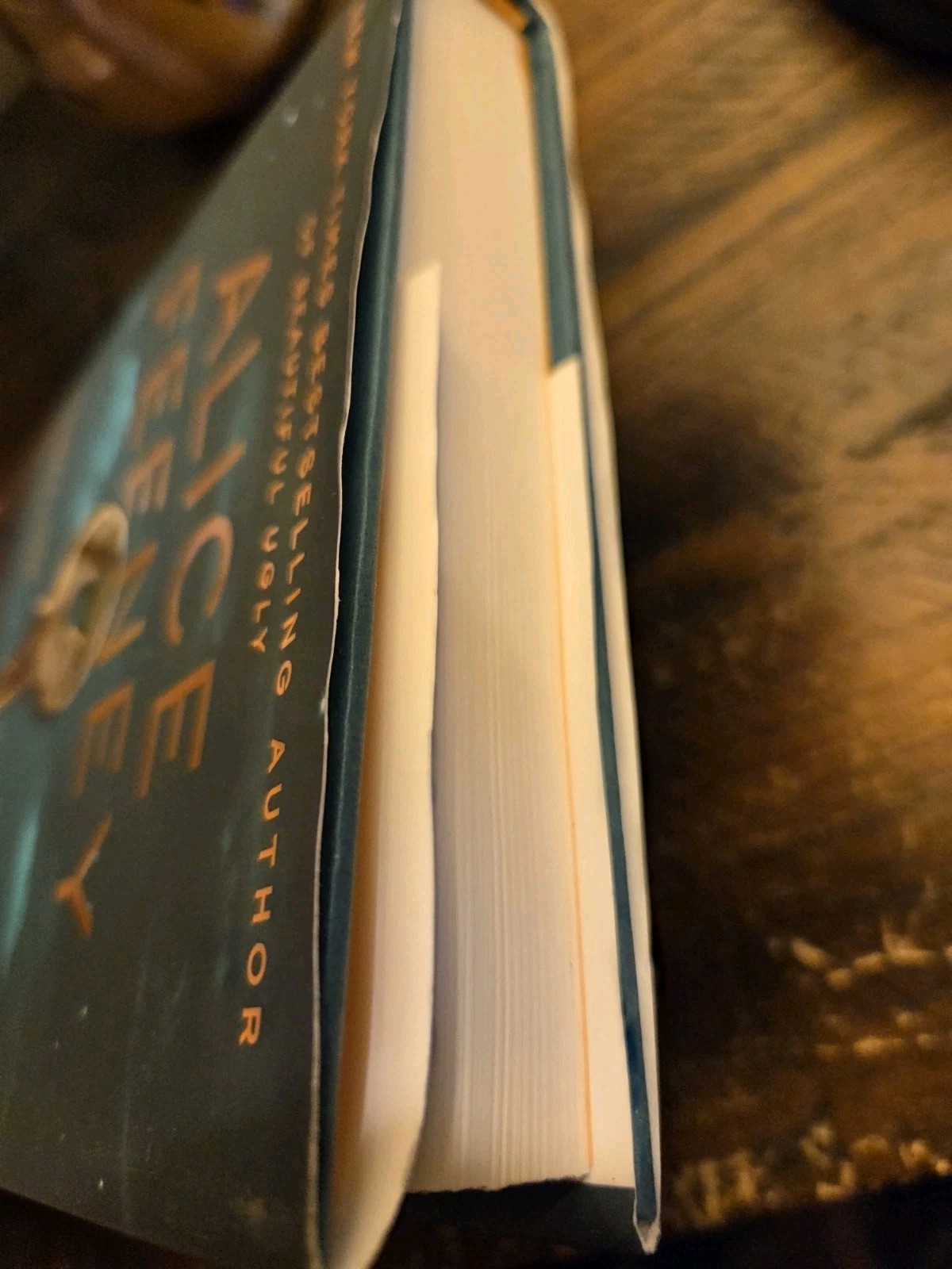 My Husbands Wife by Alice Feeny- Hardcover VERY GOOD