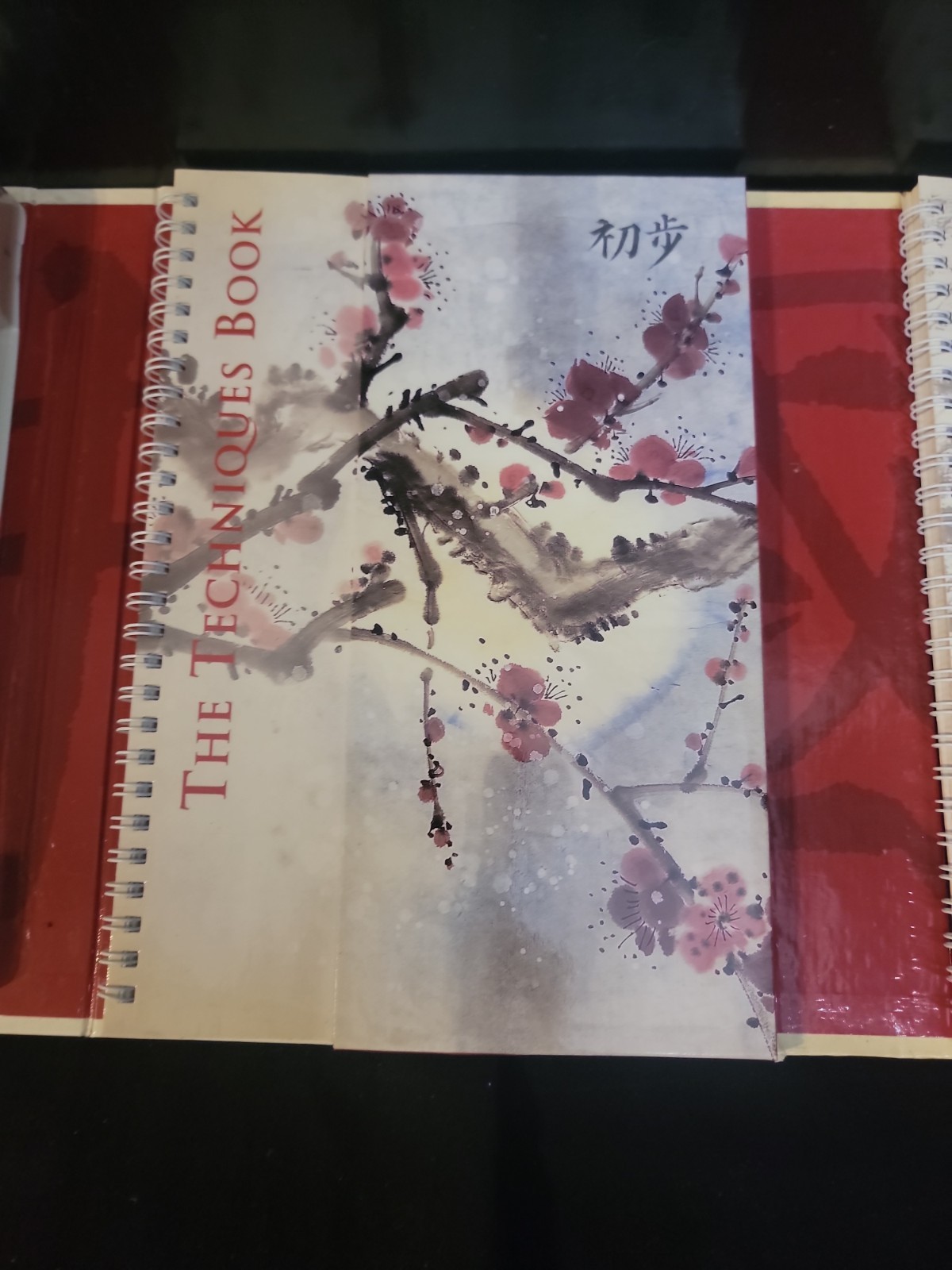 The Complete Chinese Brush Painting Set,tools & Projects READER’S DIGEST