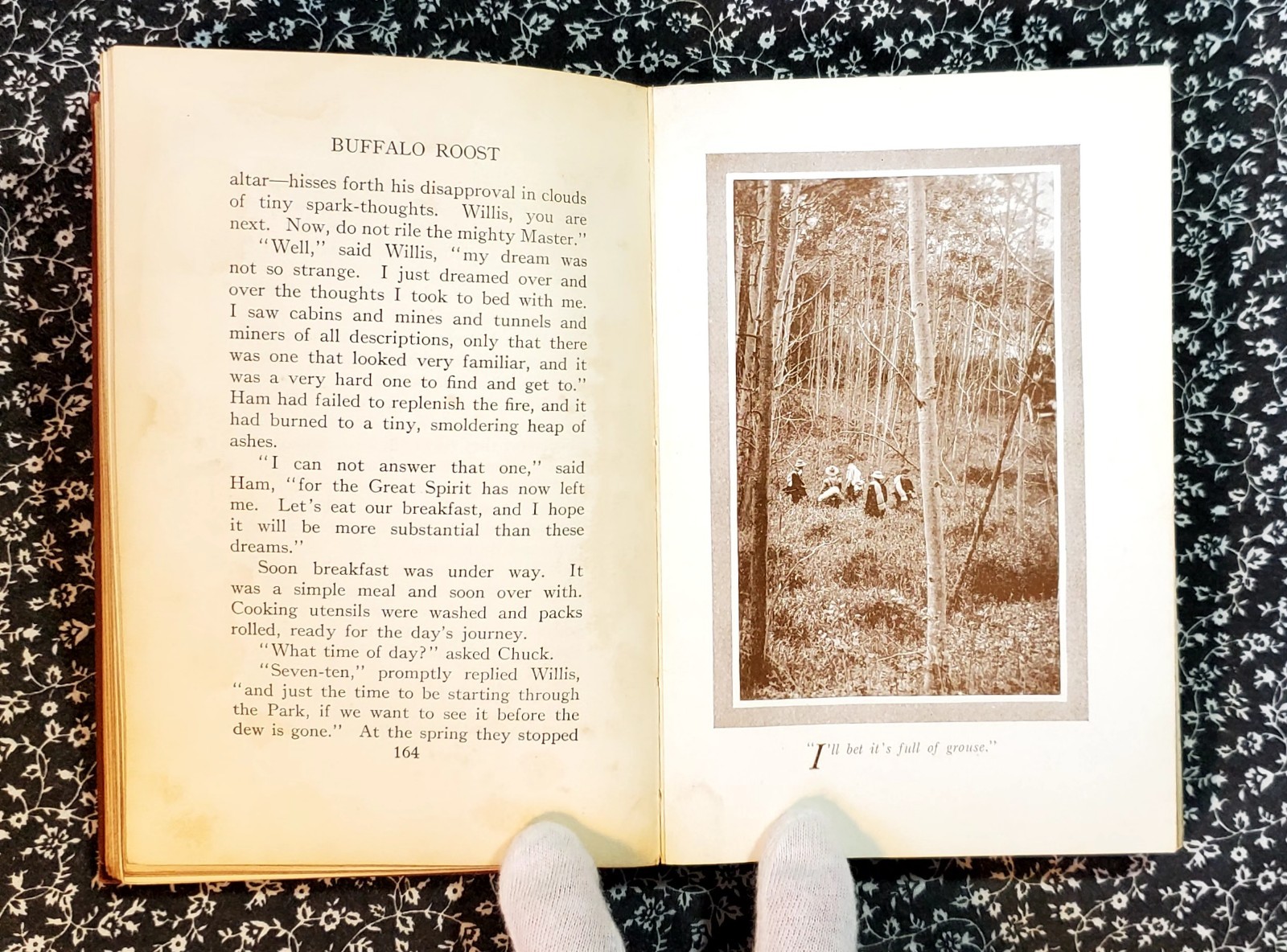 Buffalo Roost, F. H. Cheley, 1913, First Edition, Hardcover, Antique