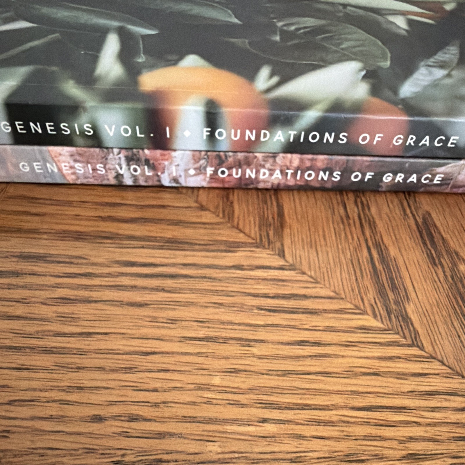 Genesis: Foundations of Grace Vol 1 Joanna Kimbrel PB Illus