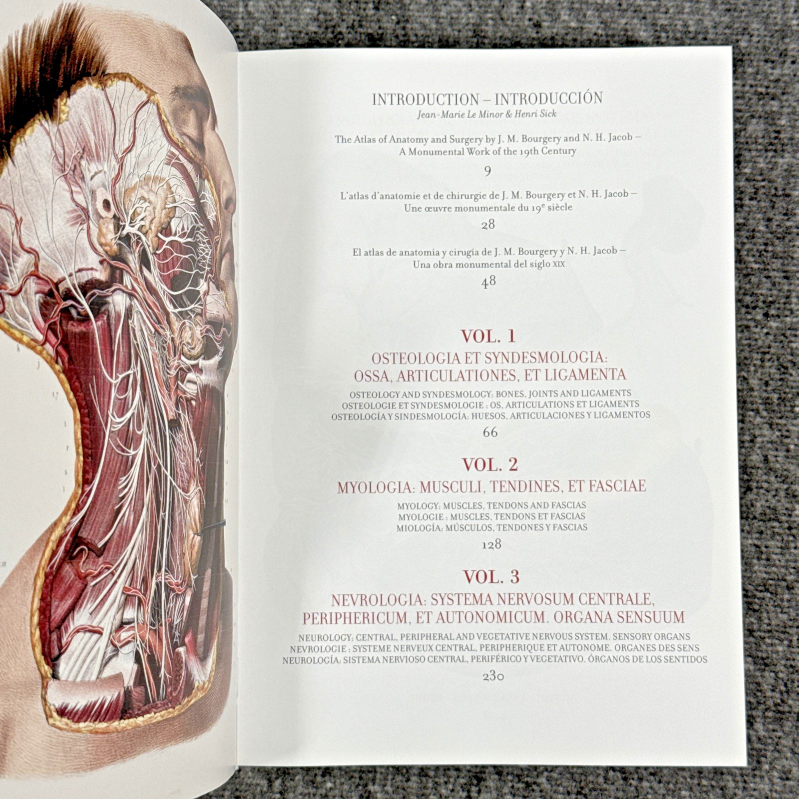 Atlas of Human Anatomy and Surgery The Complete Plates, Bourgery, Jacob, Taschen