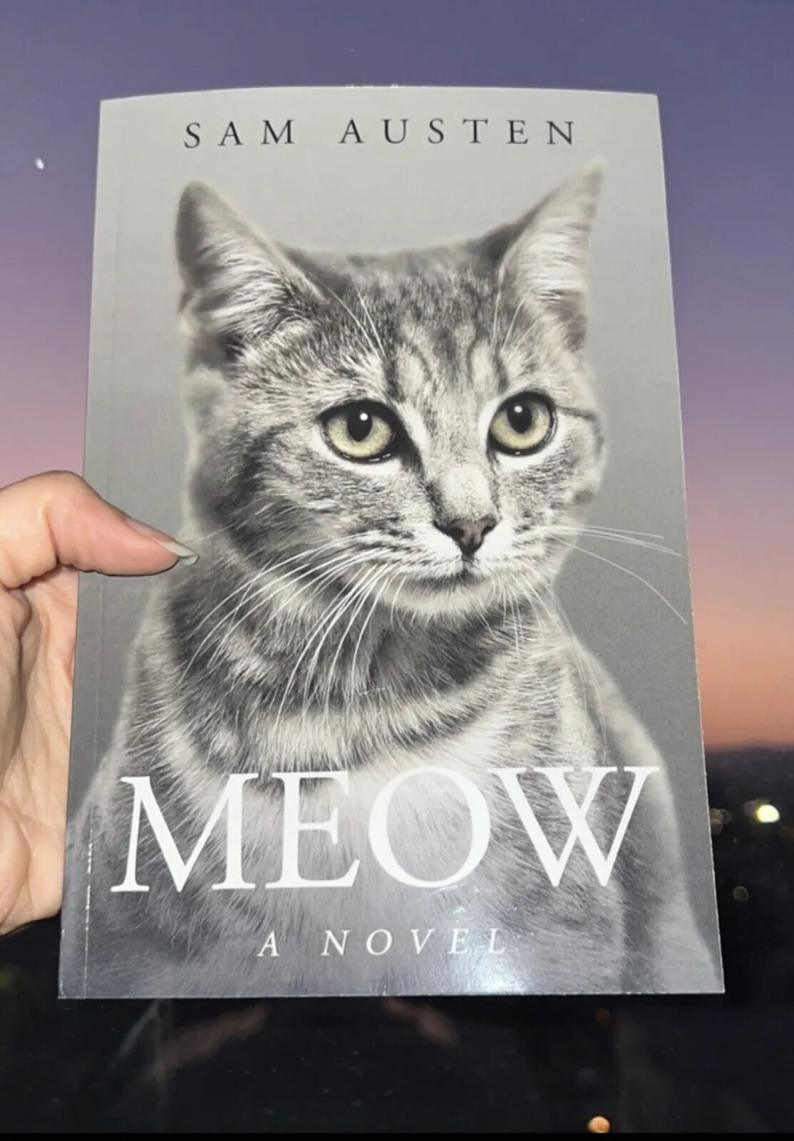 Meow Book for Cats – A Novel w/ only the word Meow, 345 pgs, by Sam Austen