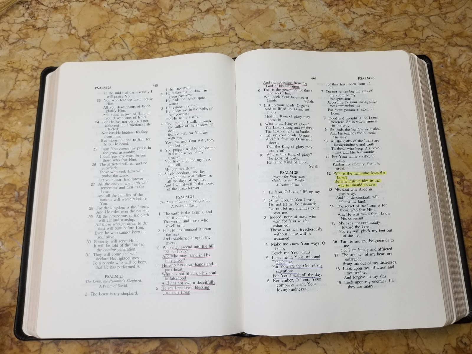 RARE 1999 USA NASB Bible Wide Margin Unknown Leather Opaque Paper USED L@@K🌟