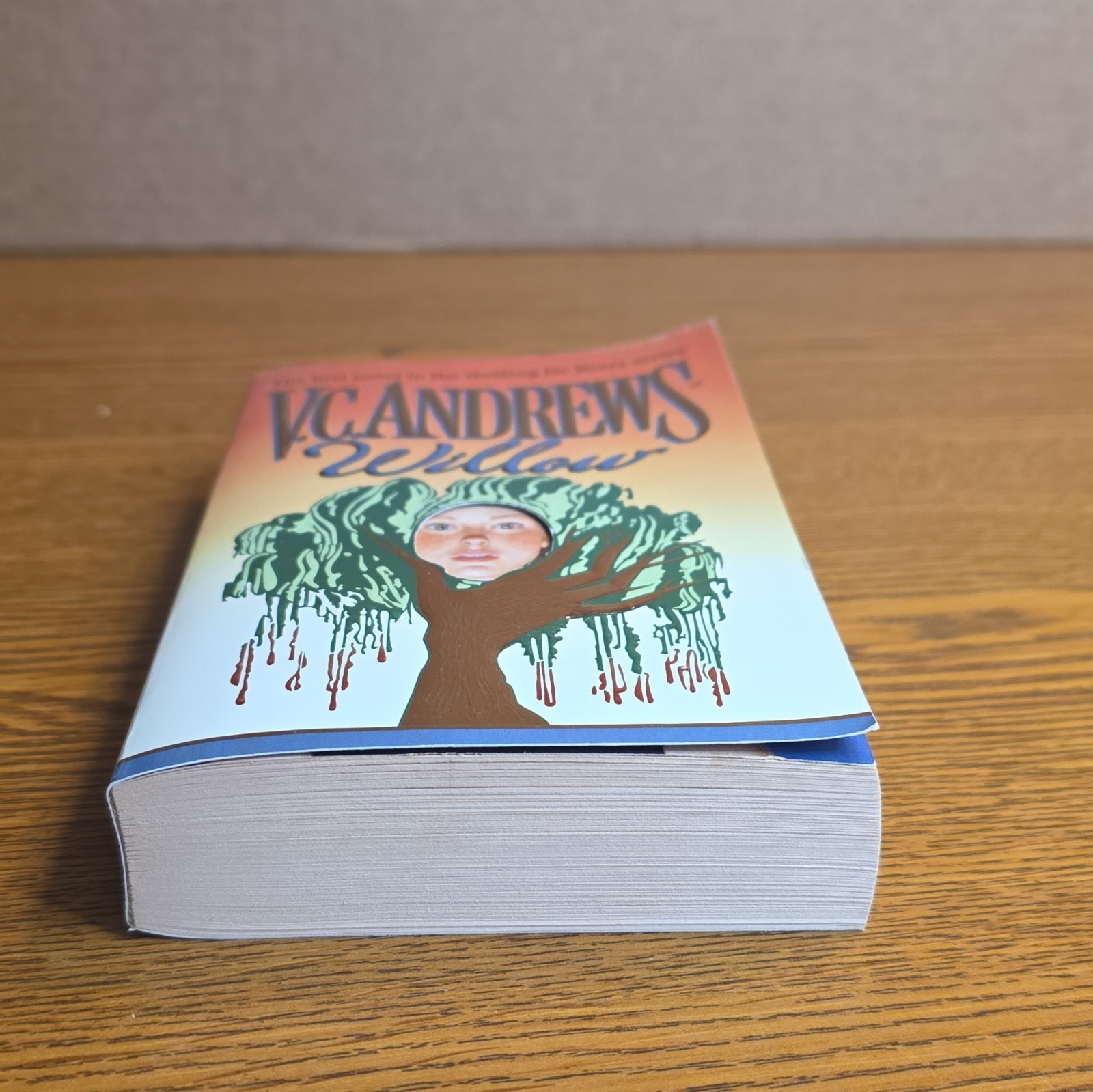 V.C. Andrews Willow Paperback Fiction Novel De Beers Series Pocket Books