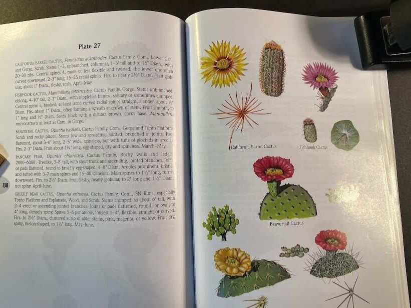 A Field Guide to the Grand Canyon by Whitney. 2nd edition. 269 pages. good cond.